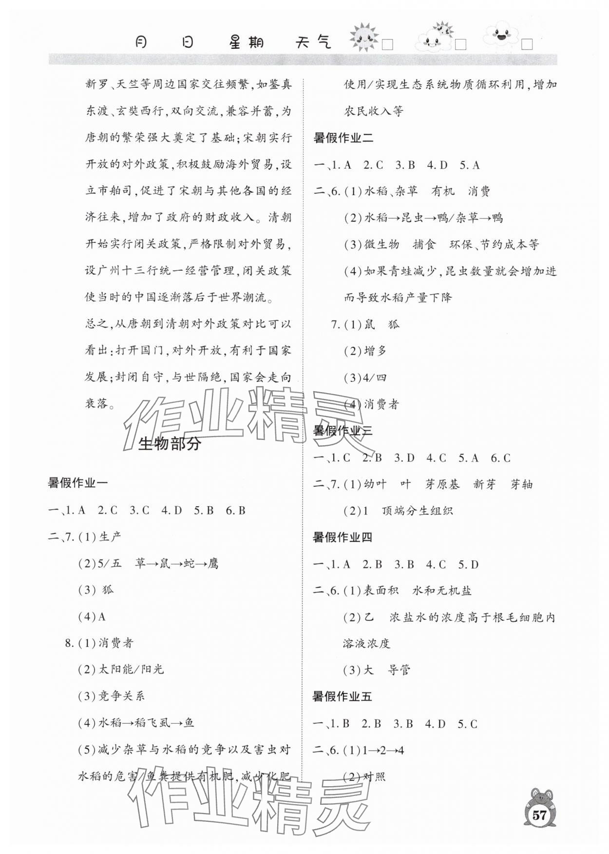 2025年暑假作业河南人民出版社七年级综合人教版 参考答案第3页