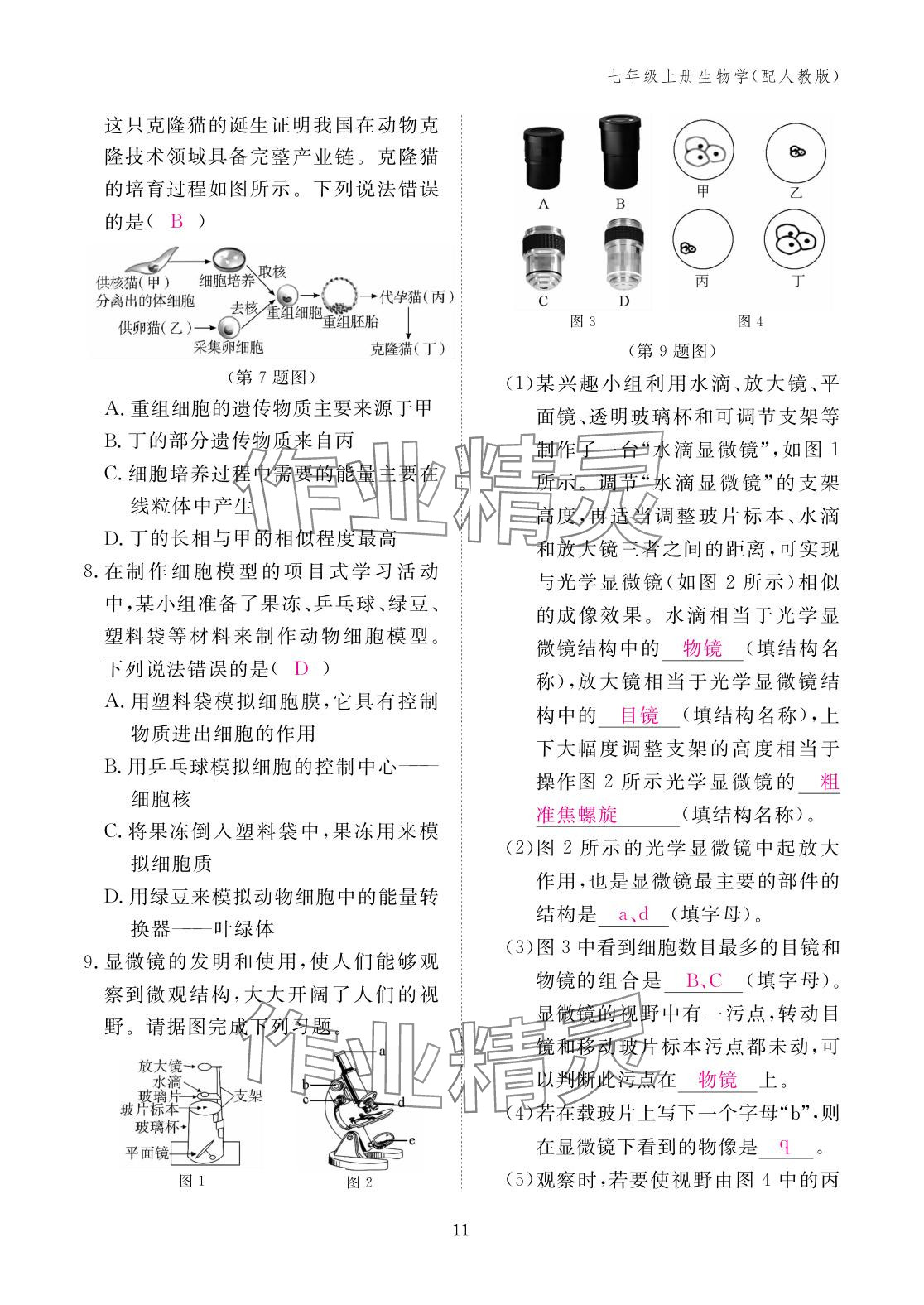 2025年作业本江西教育出版社七年级生物上册人教版 参考答案第11页