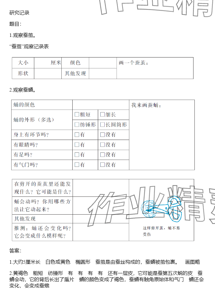 2024年同步實踐評價課程基礎(chǔ)訓(xùn)練三年級科學(xué)下冊教科版 參考答案第85頁