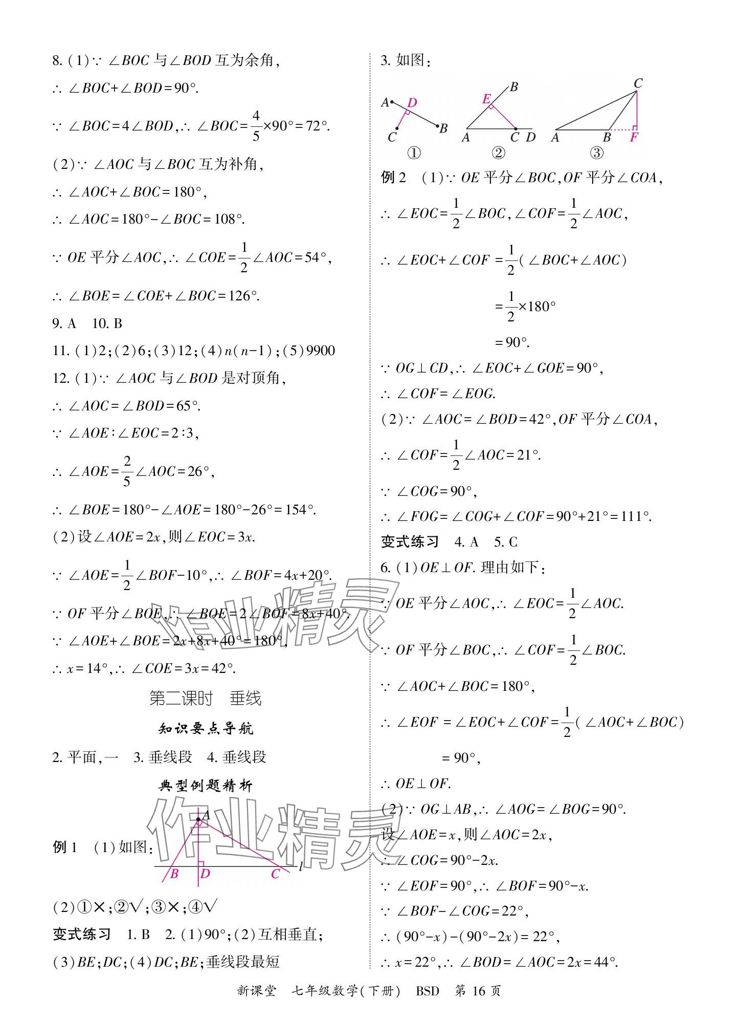 2024年启航新课堂七年级数学下册北师大版 参考答案第16页