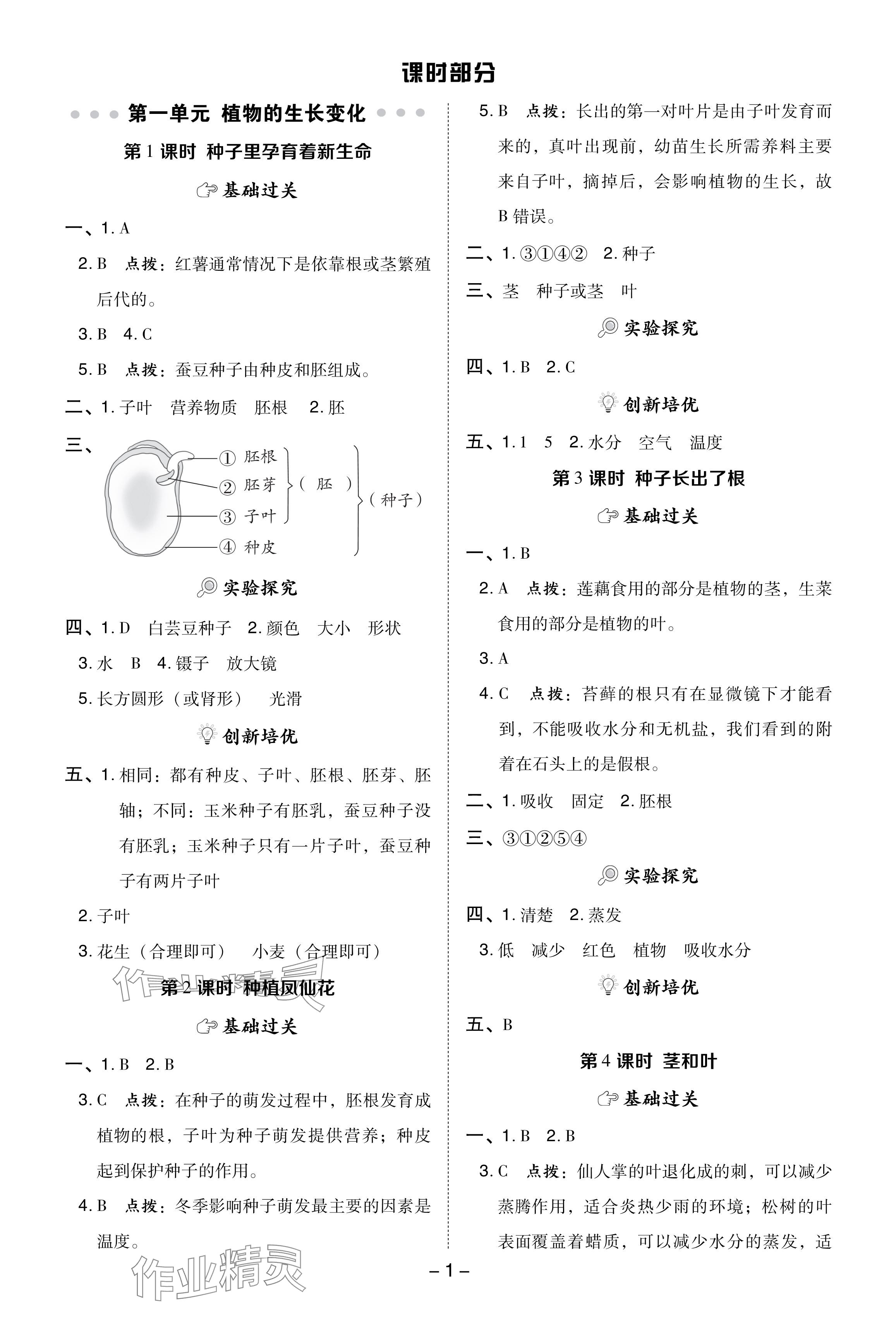 2024年綜合應用創(chuàng)新題典中點四年級科學下冊教科版 參考答案第1頁