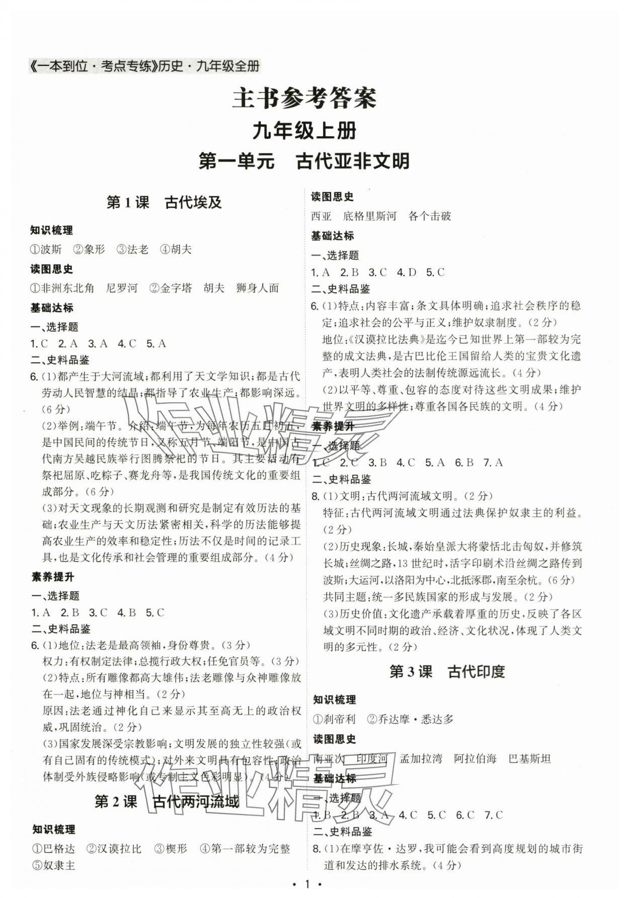 2025年考點專練九年級歷史全一冊人教版深圳專版 第1頁