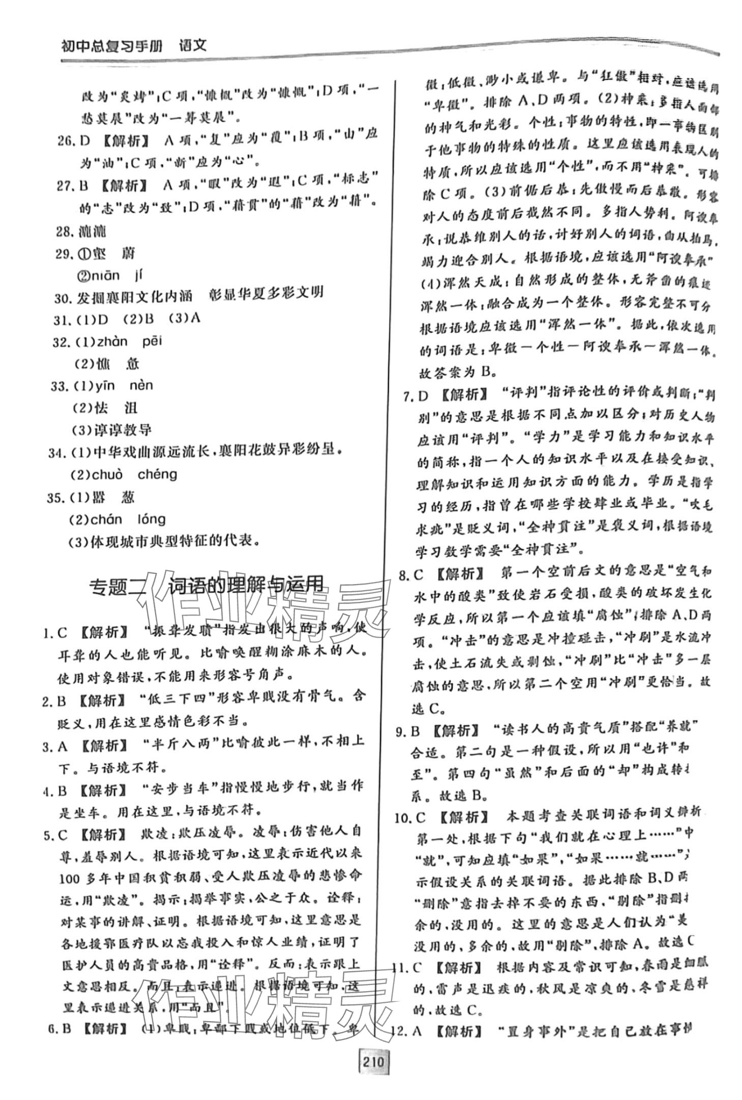 2024年初中总复习手册明天出版社语文 第2页