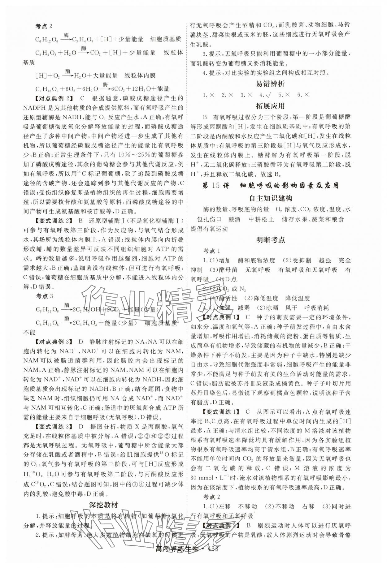 2025年北斗星高考導(dǎo)練生物 第13頁