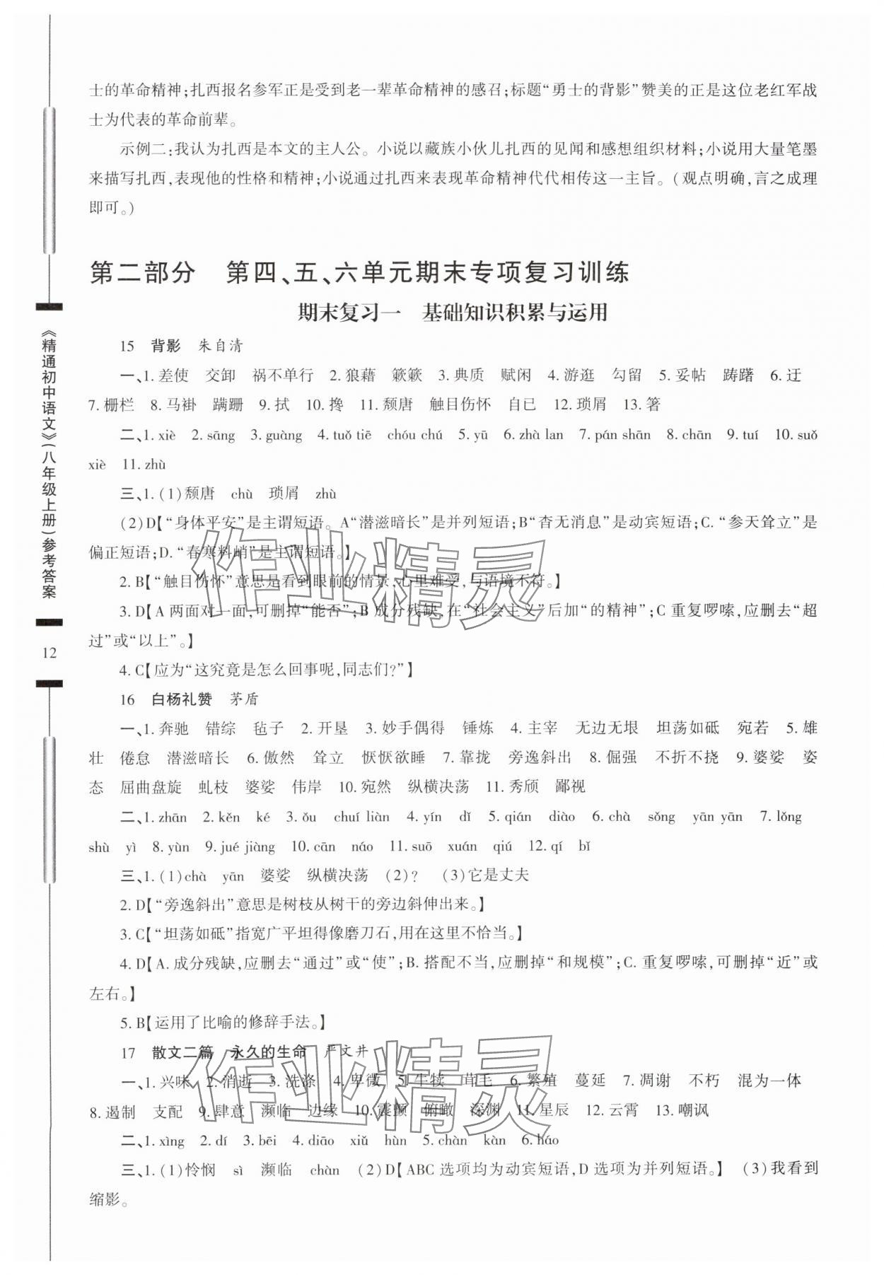 2025年精通初中語文八年級上冊人教版 參考答案第12頁