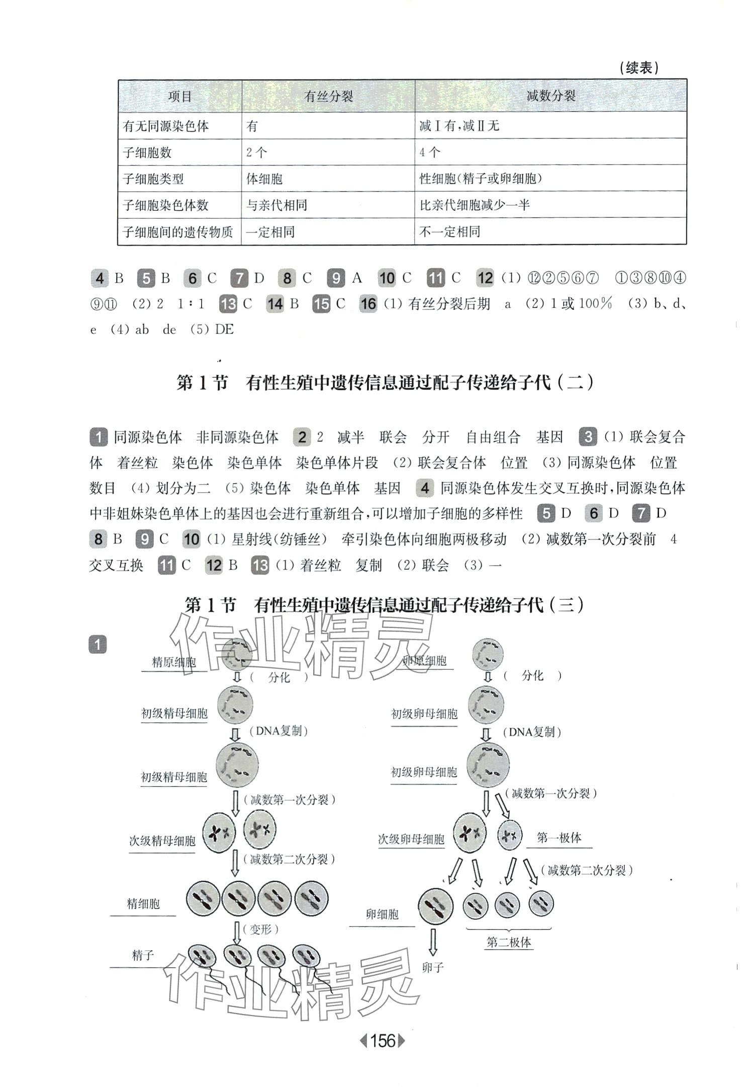 2024年華東師大版一課一練高中生物必修2 第4頁(yè)