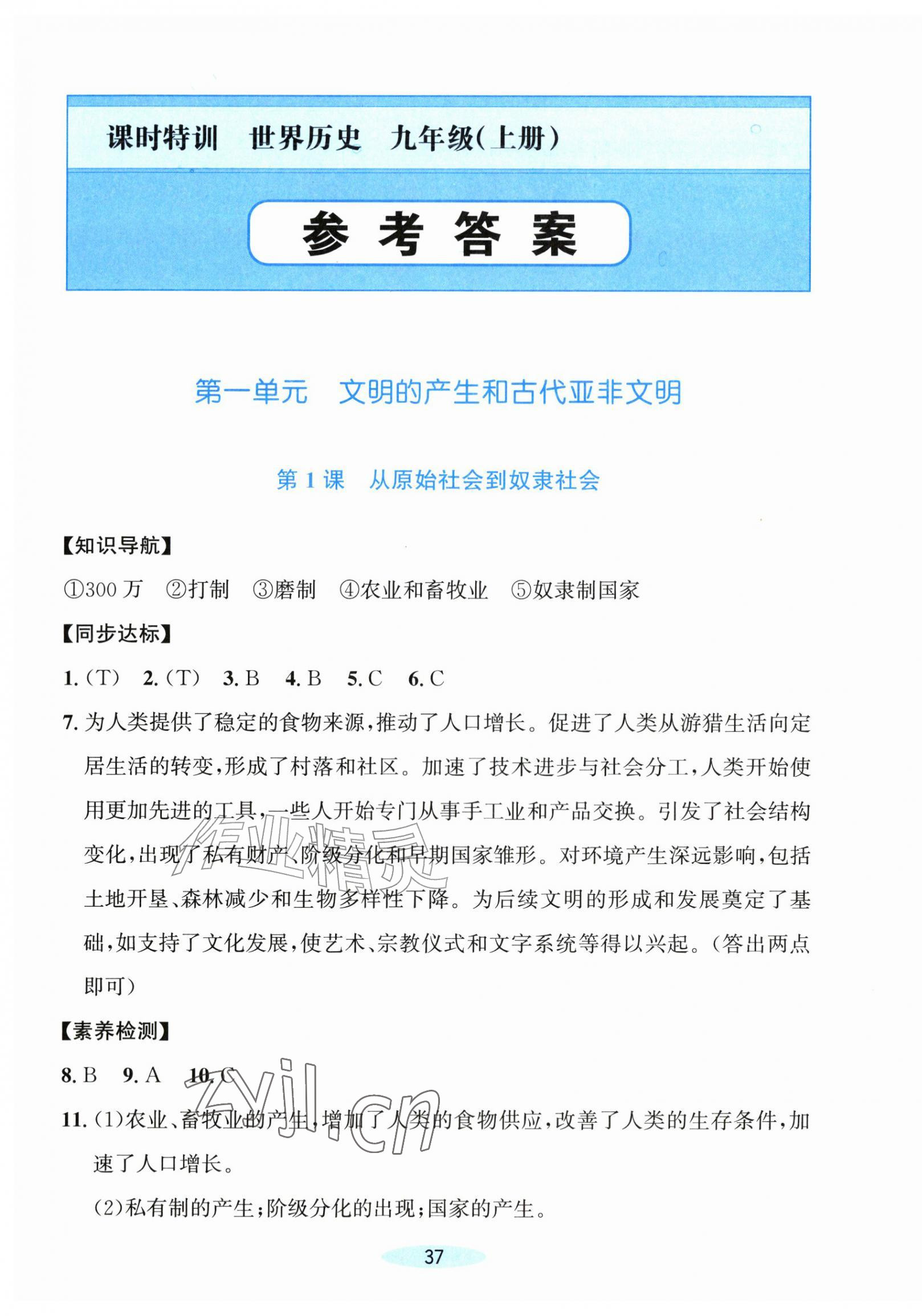 2026年课时特训九年级历史上册人教版&nbsp;第1页