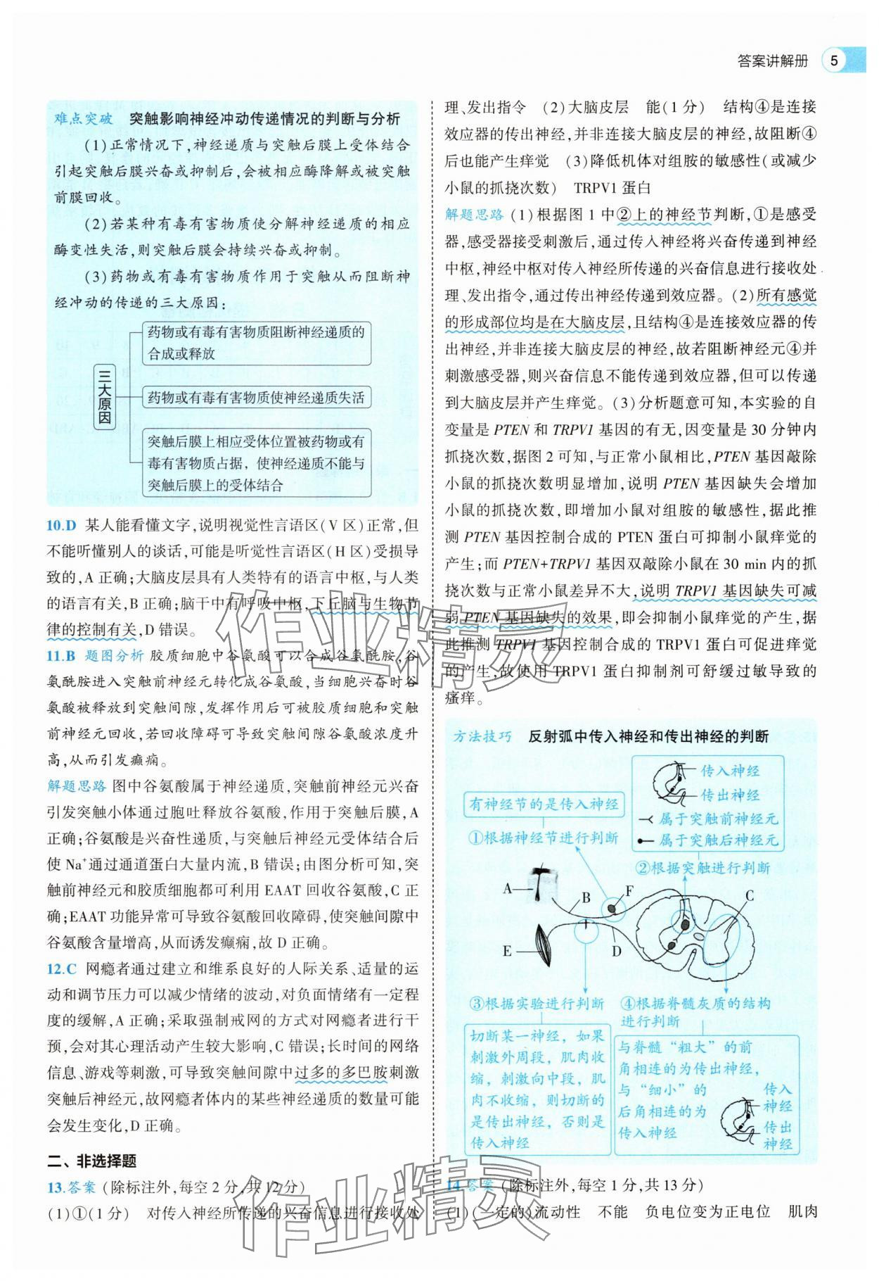 2025年53全優(yōu)卷生物選擇性必修1人教版 第5頁