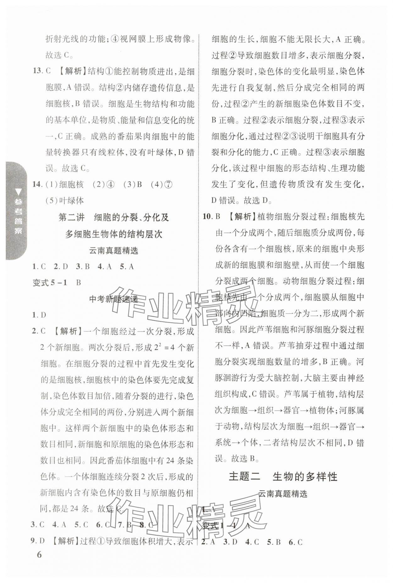 2024年中考新突破生物云南專版&nbsp;參考答案第6頁(yè)