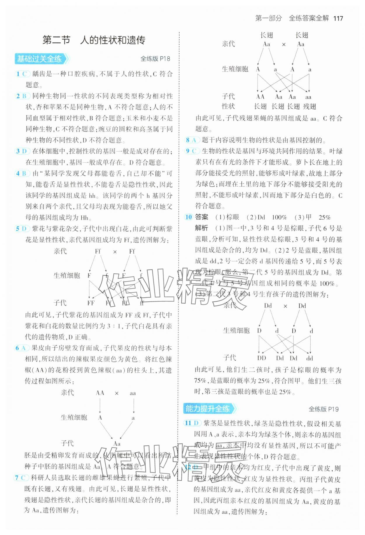 2025年5年中考3年模擬八年級生物下冊蘇教版 第7頁