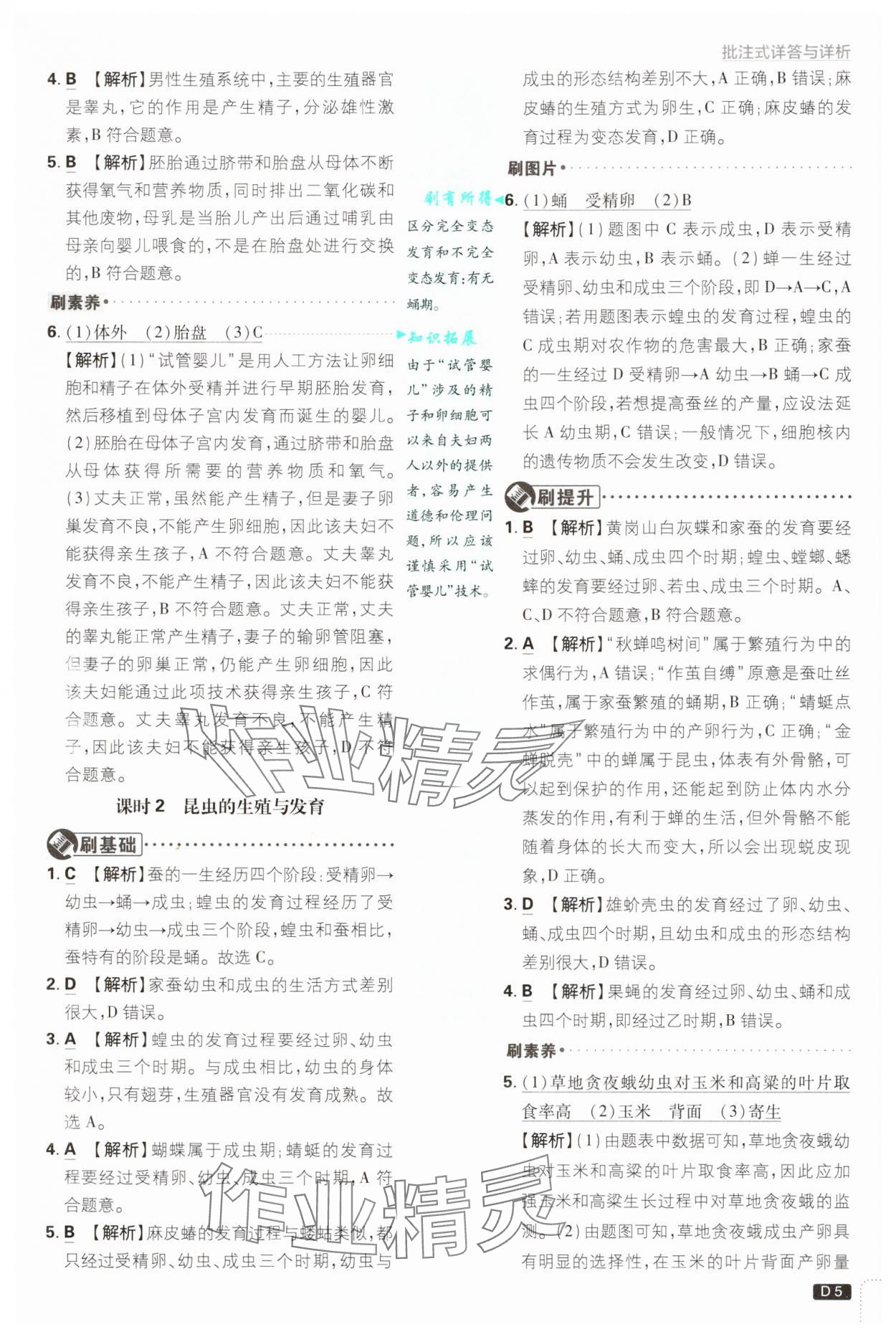 2025年初中必刷題七年級科學(xué)下冊浙教版浙江專版 參考答案第5頁