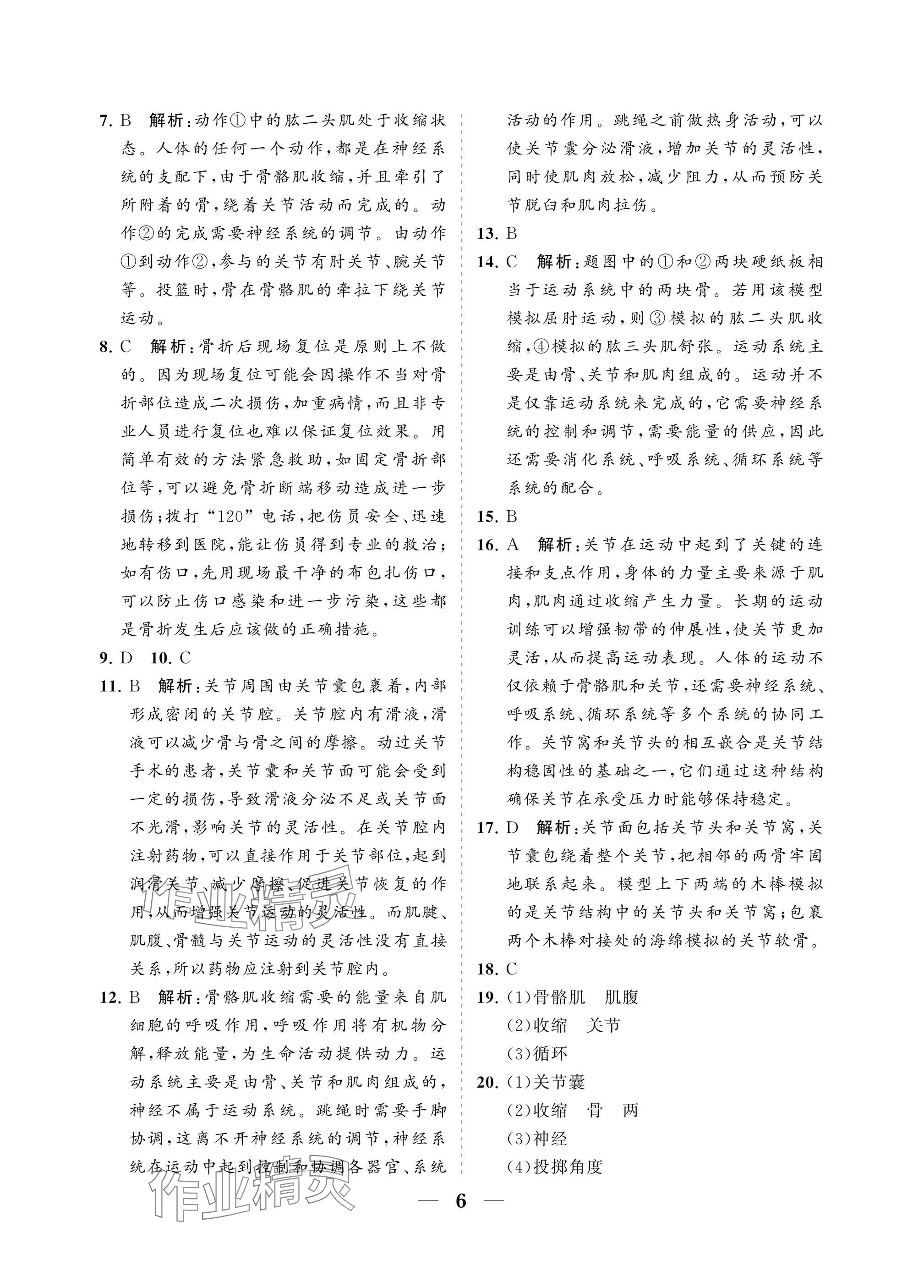 2025年配套综合练习甘肃八年级生物上册人教版 参考答案第6页
