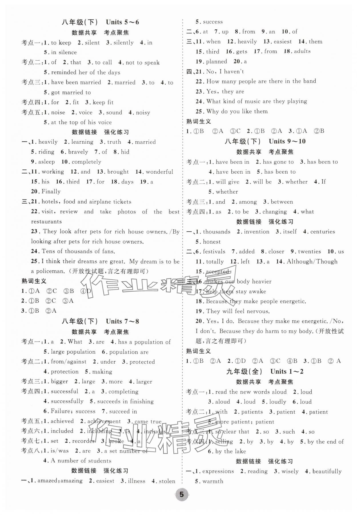 2025年中考大數(shù)據(jù)英語中考河北專版&nbsp;參考答案第5頁