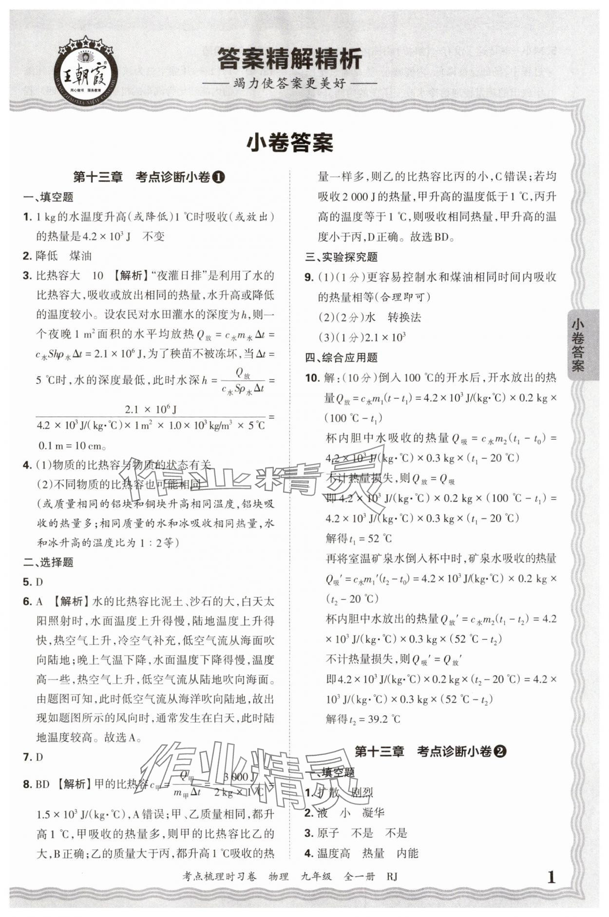 2025年王朝霞考点梳理时习卷九年级物理全一册人教版 第1页