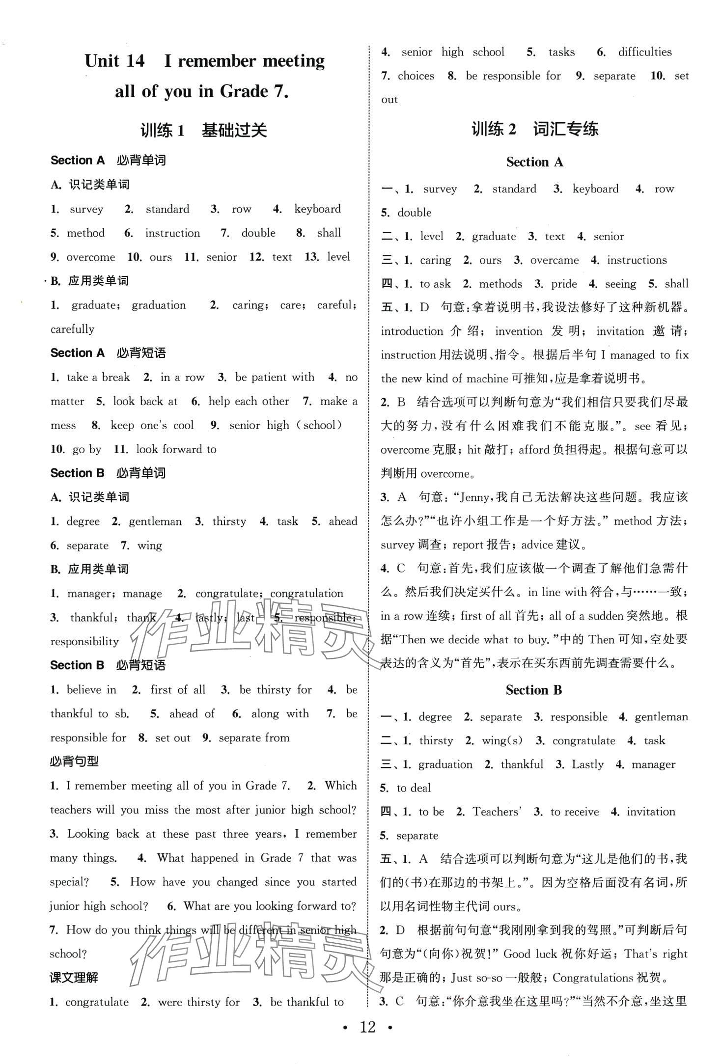 2024年通城学典组合训练九年级英语下册人教版 第12页