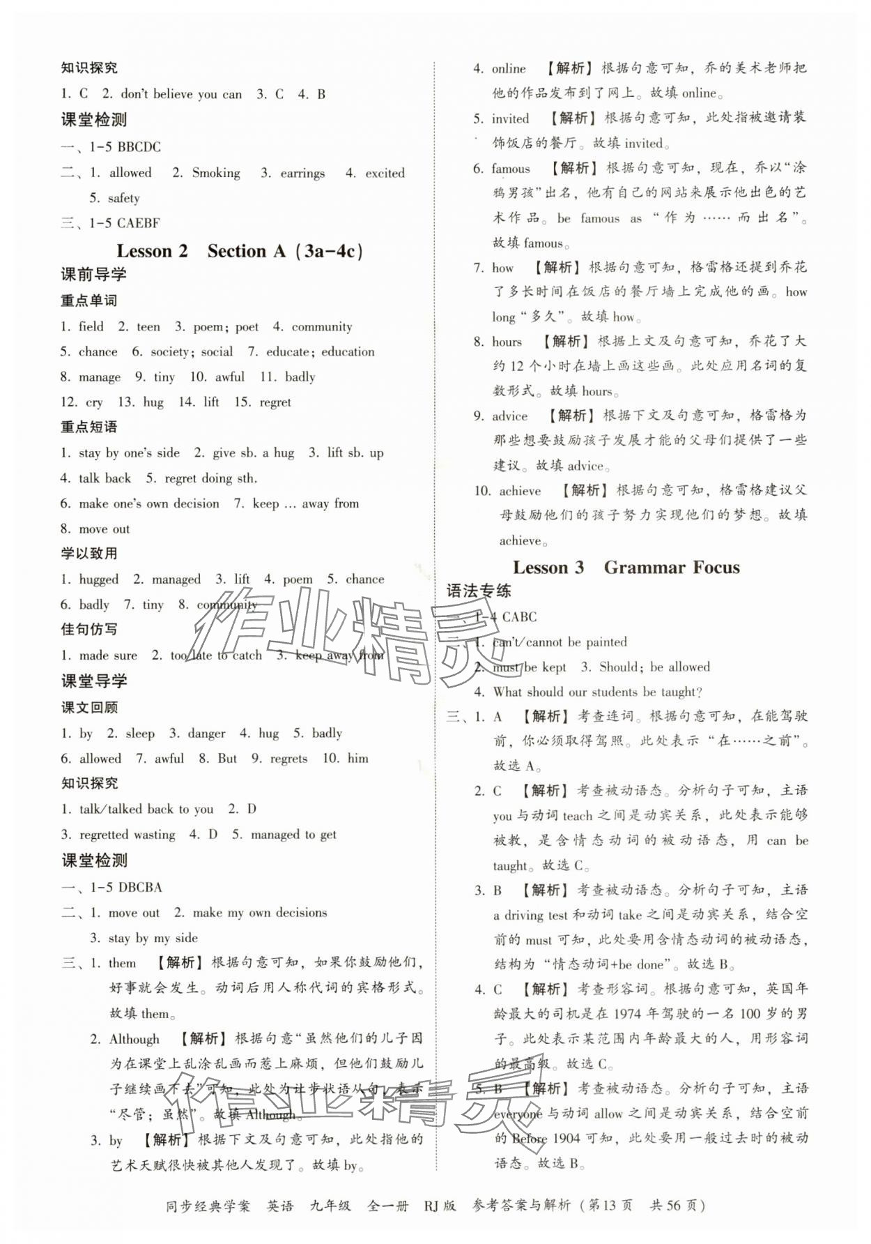 2024年同步經(jīng)典學(xué)案九年級(jí)英語(yǔ)全一冊(cè)人教版 第13頁(yè)