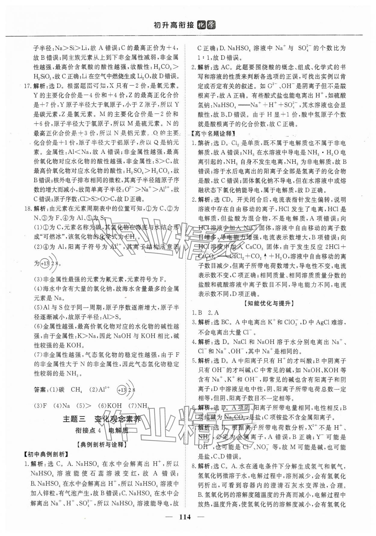 2025年优化方案初升高衔接九年级化学&nbsp;第6页