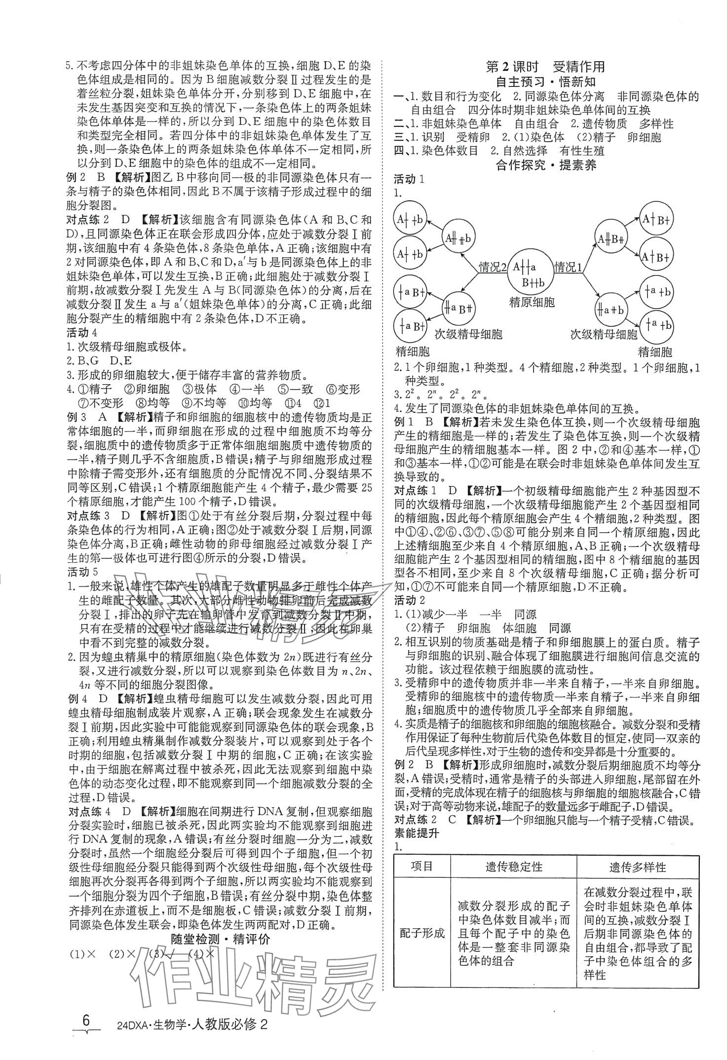 2024年金太陽導學案高中生物必修2人教版新教材 第6頁