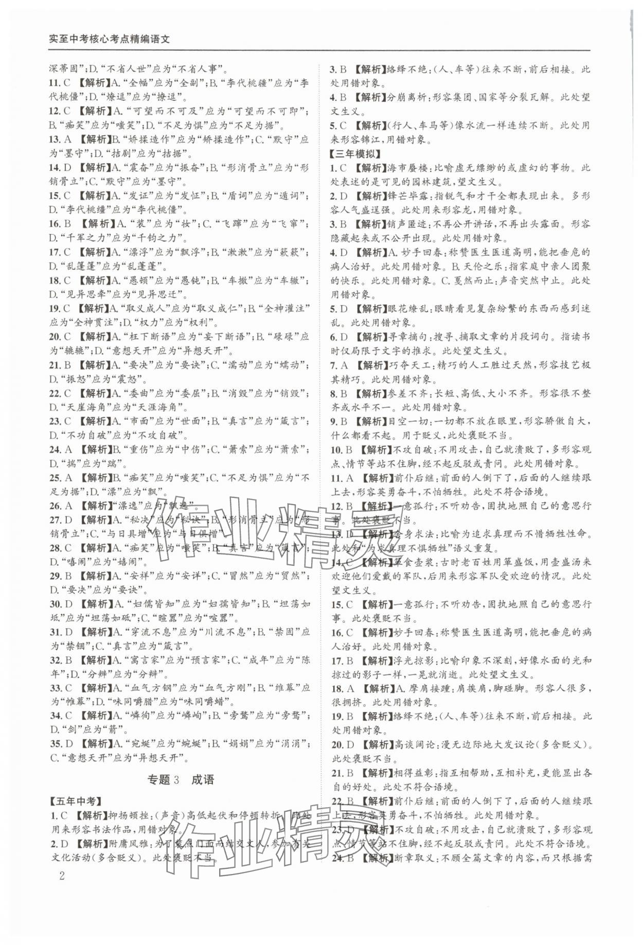 2025年实至中考核心考点精编语文中考成都专版 第2页