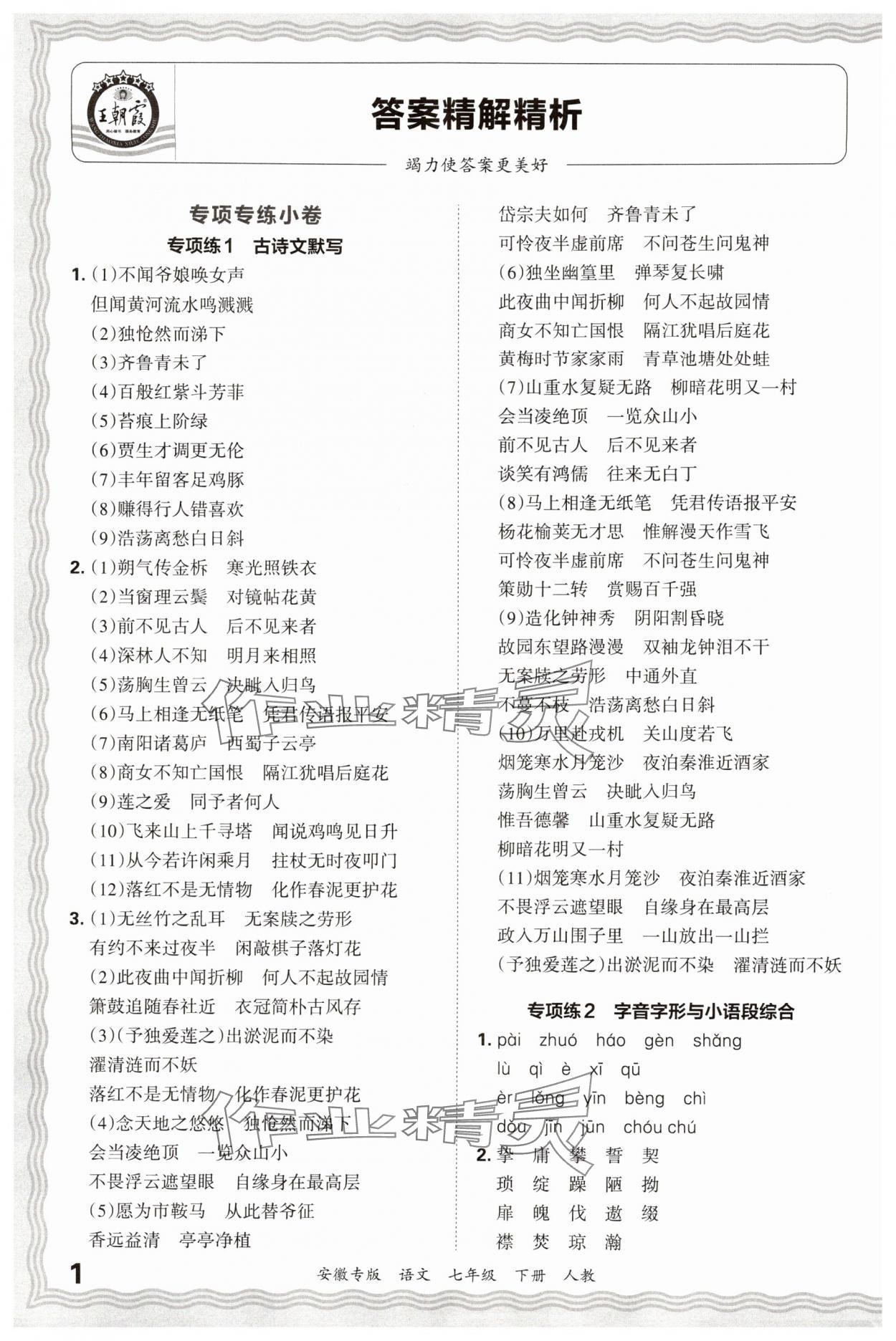 2025年王朝霞各地期末试卷精选七年级语文下册人教版安徽专版 参考答案第1页