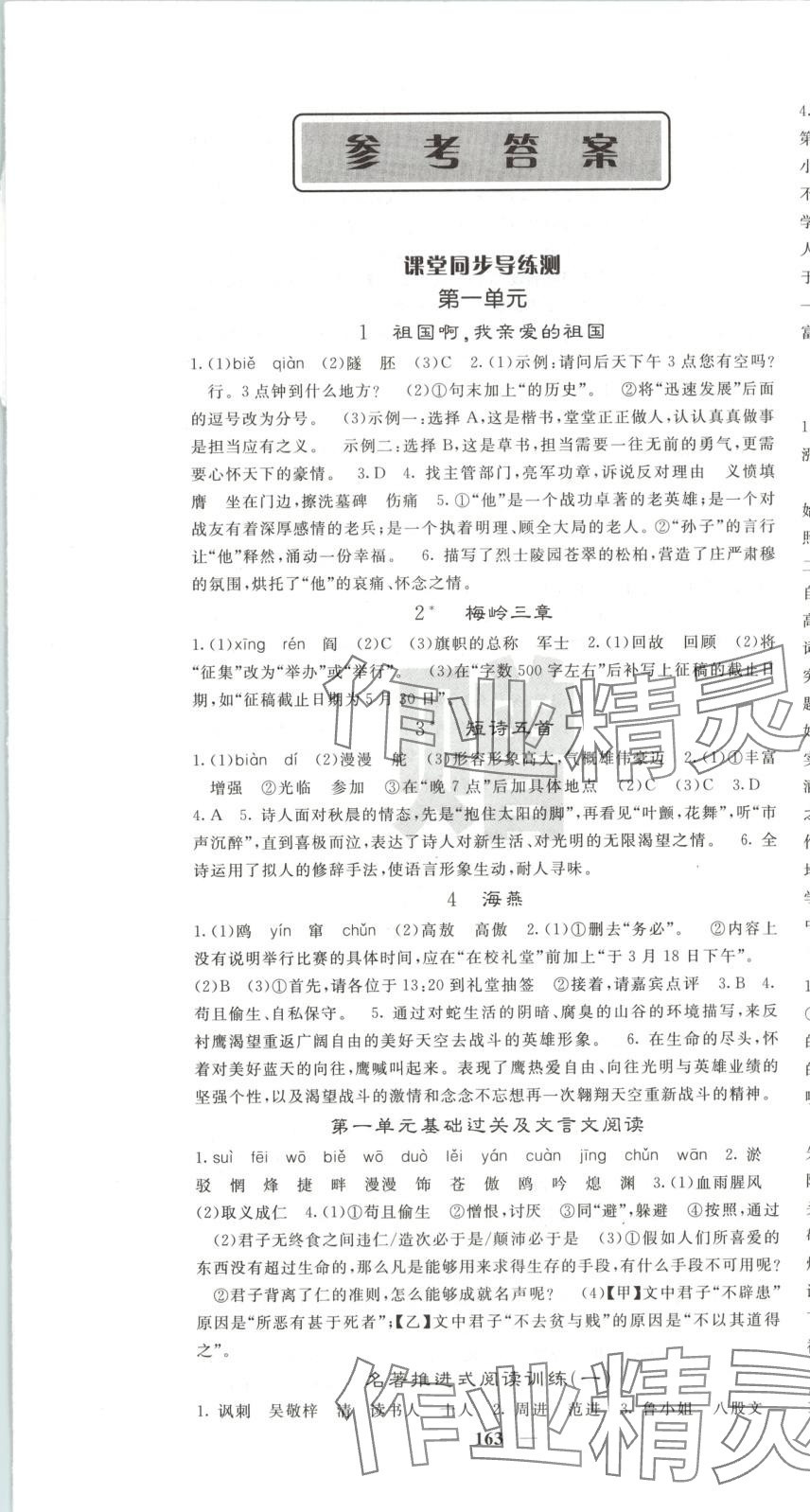 2025年名校课堂内外九年级语文下册人教版安徽专版 第1页