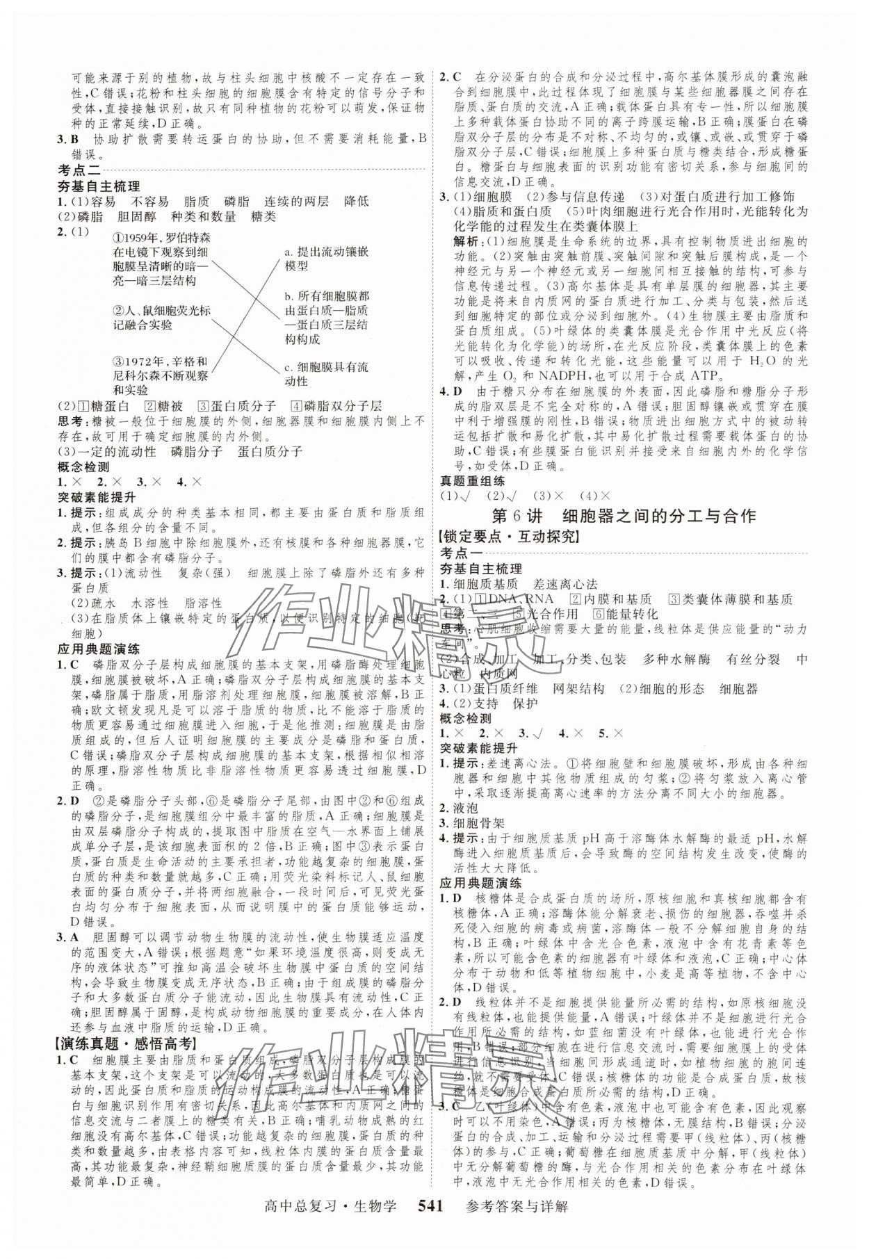 2024年三维设计生物 参考答案第5页