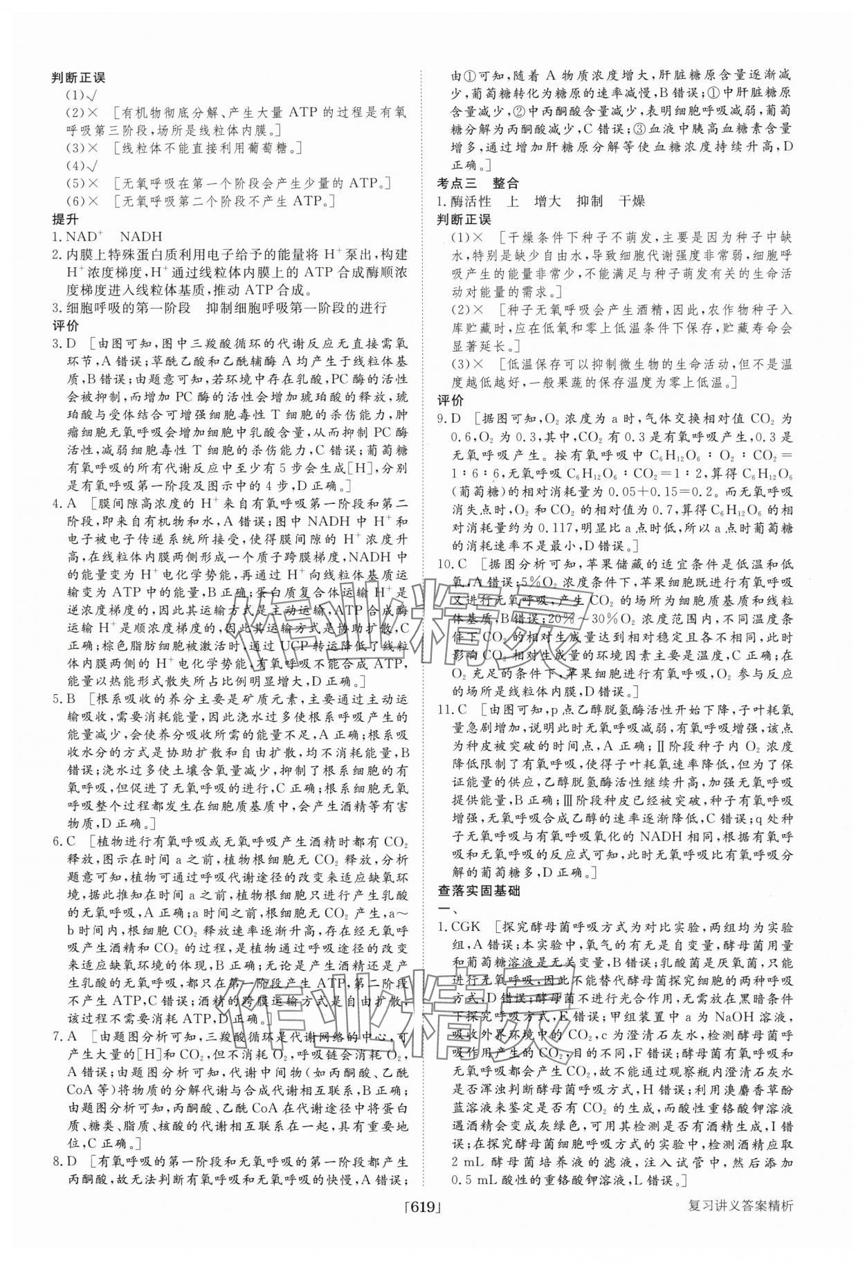 2025年步步高大一輪復習講義高中生物 第11頁