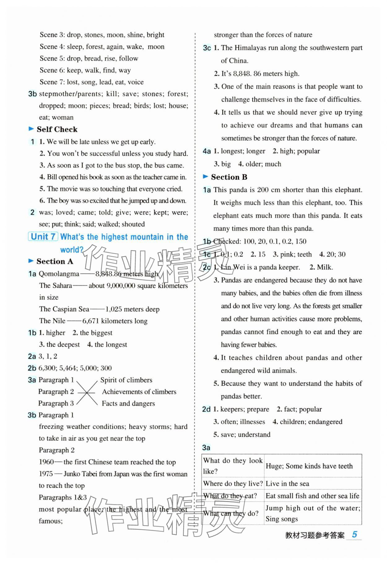 2025年特高級教師點撥八年級英語下冊人教版 第5頁