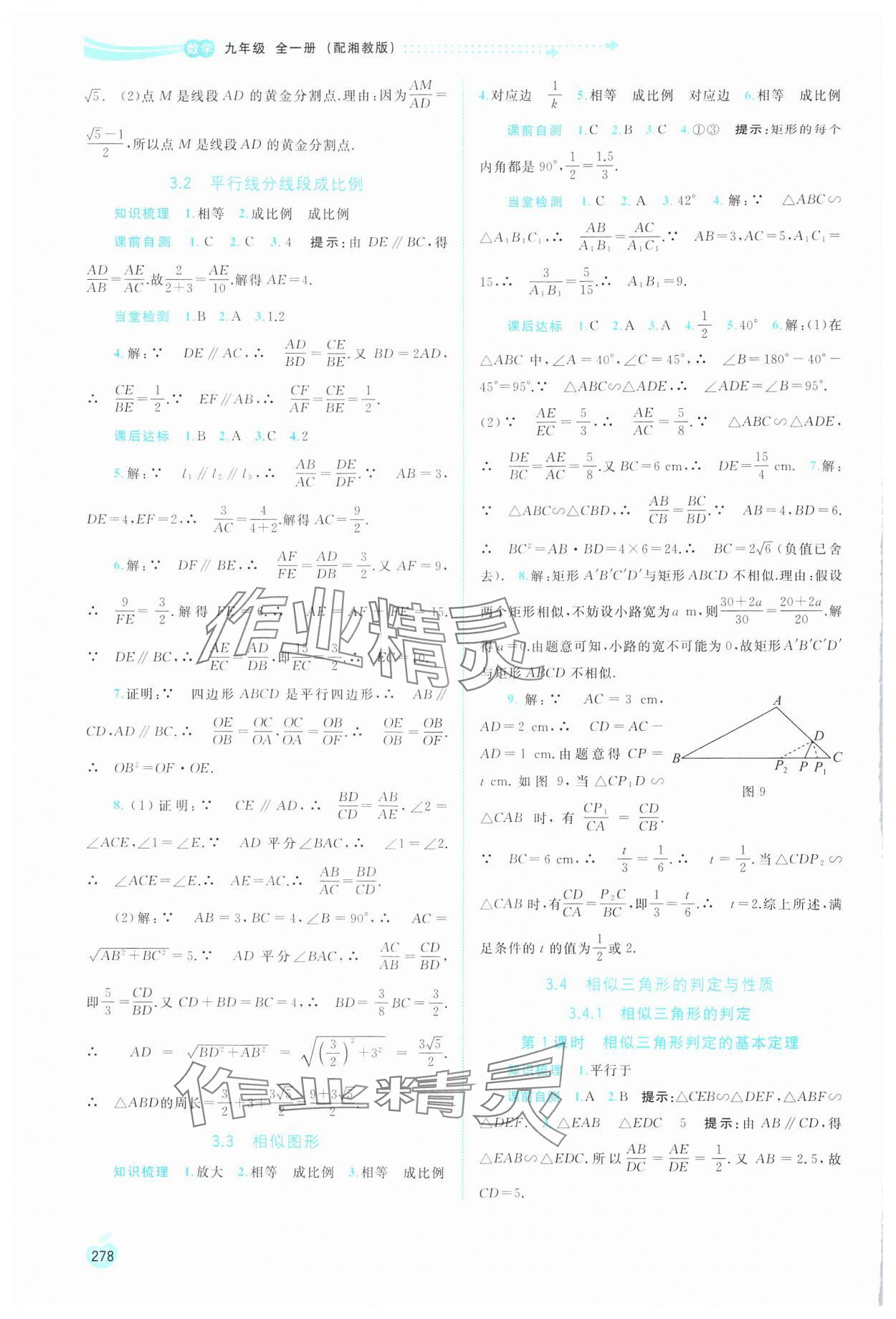 2024年新課程學(xué)習(xí)與測評同步學(xué)習(xí)九年級數(shù)學(xué)全一冊湘教版 第10頁