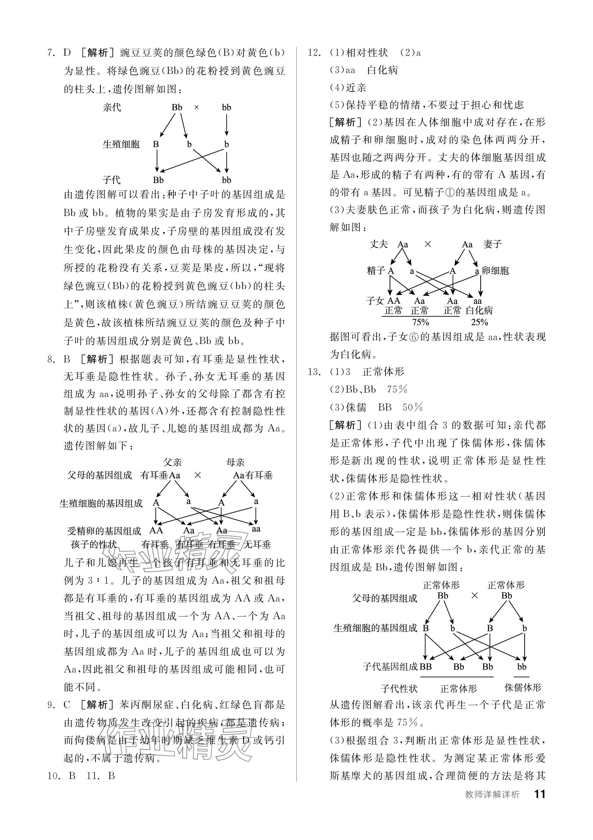 2024年全品學(xué)練考八年級(jí)生物下冊(cè)人教版 參考答案第11頁(yè)