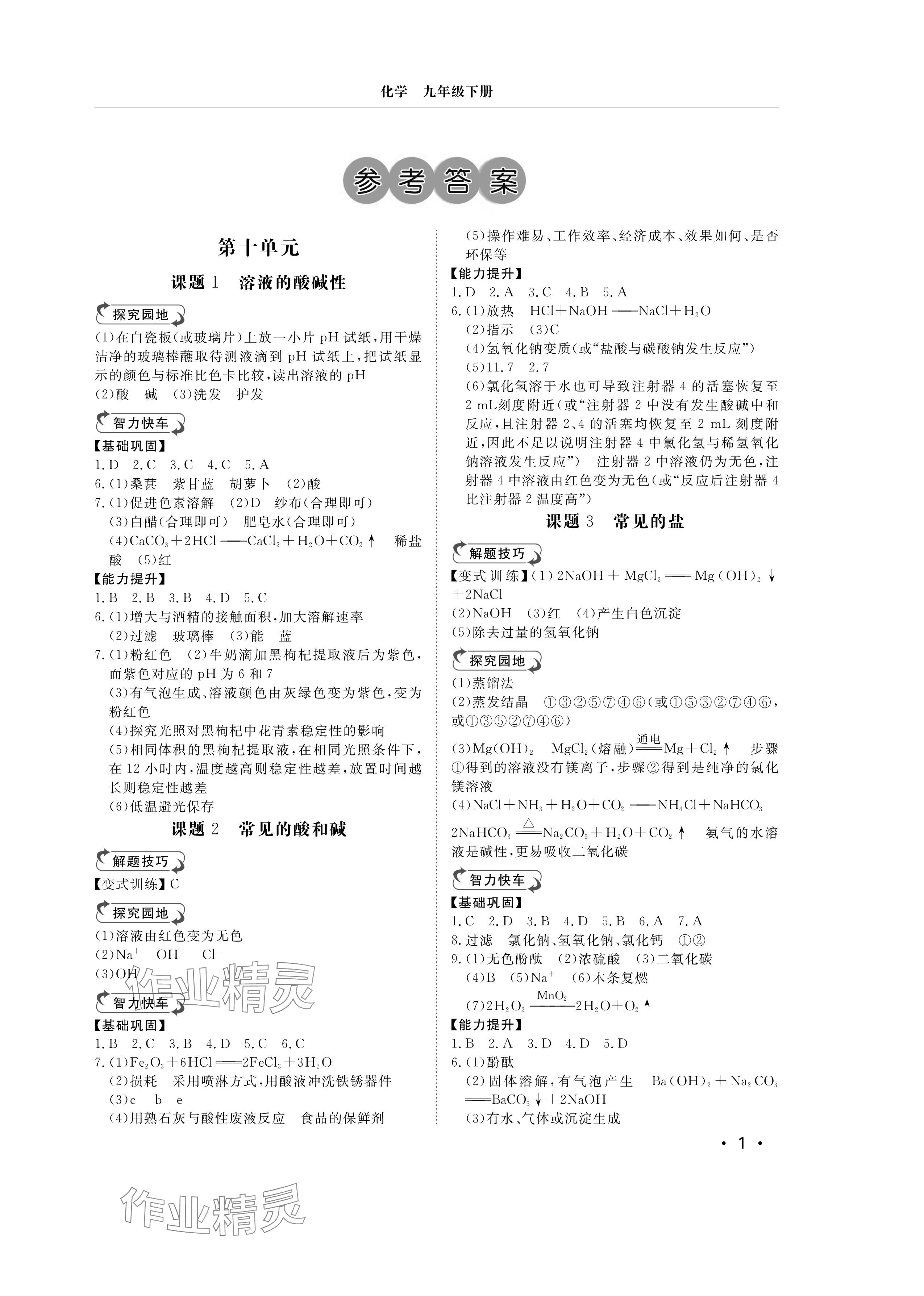2025年行知天下九年级化学下册人教版 参考答案第1页