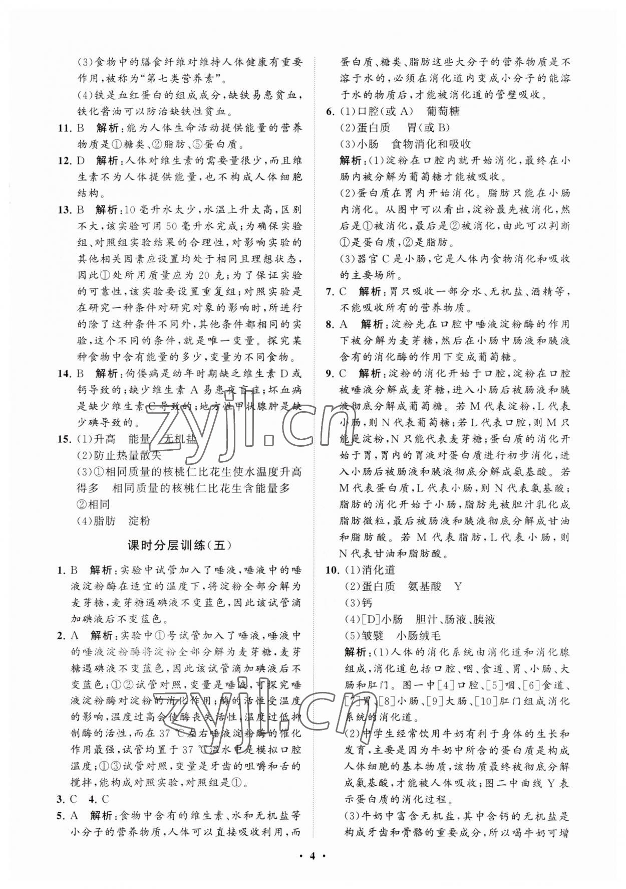 2023年同步練習(xí)冊分層卷七年級生物上冊魯科版54制 參考答案第4頁