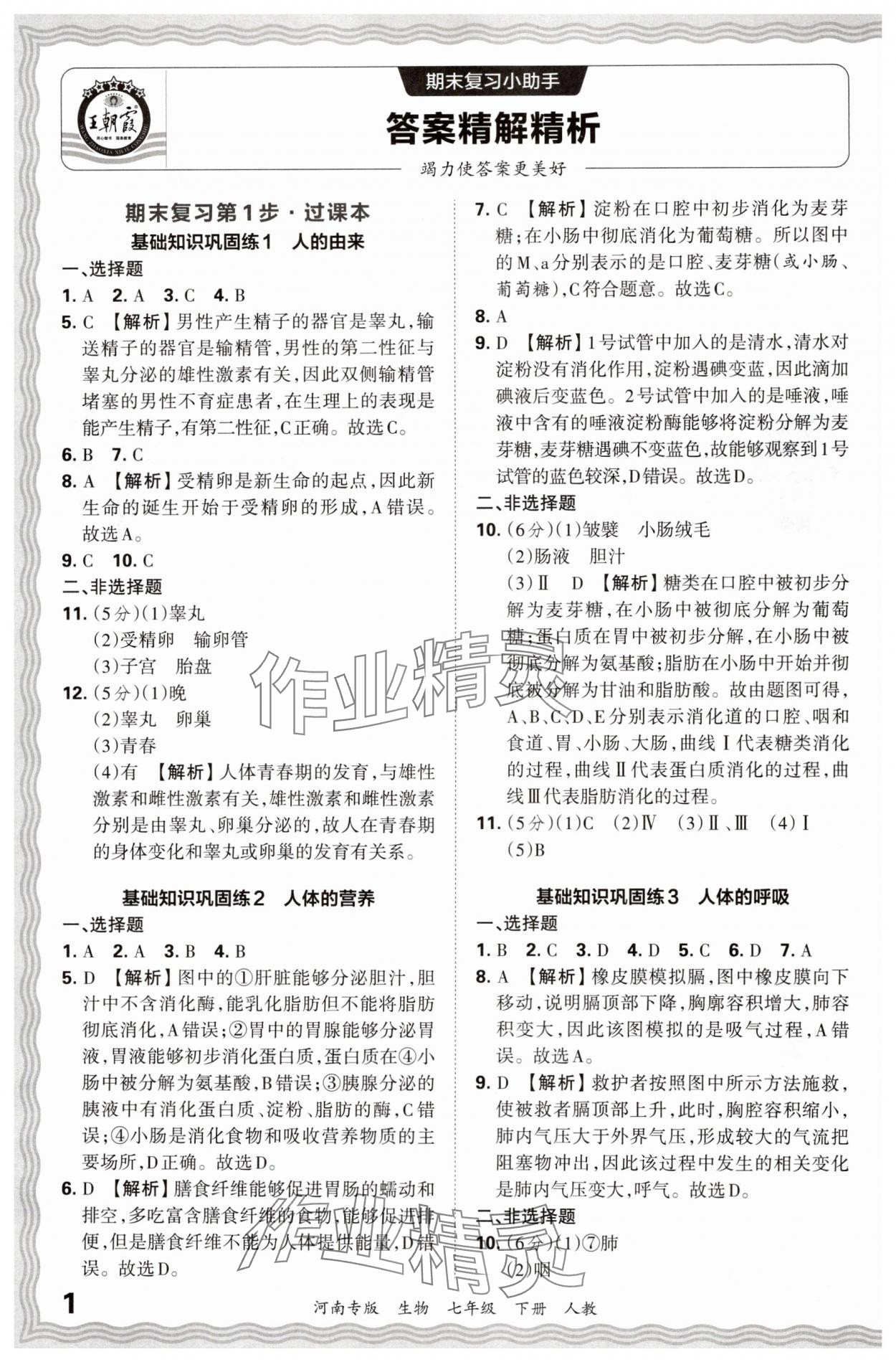 2024年王朝霞各地期末試卷精選七年級生物下冊人教版河南專版 參考答案第1頁