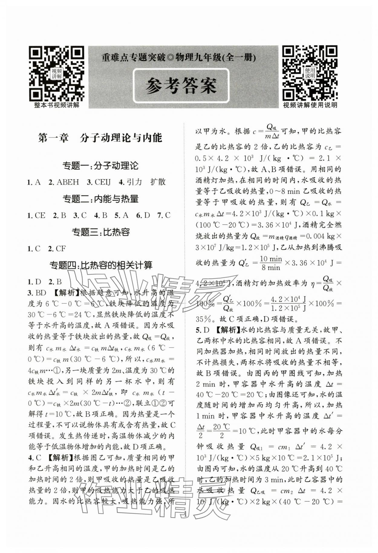 2024年重難點專題突破九年級物理全一冊教科版 第1頁