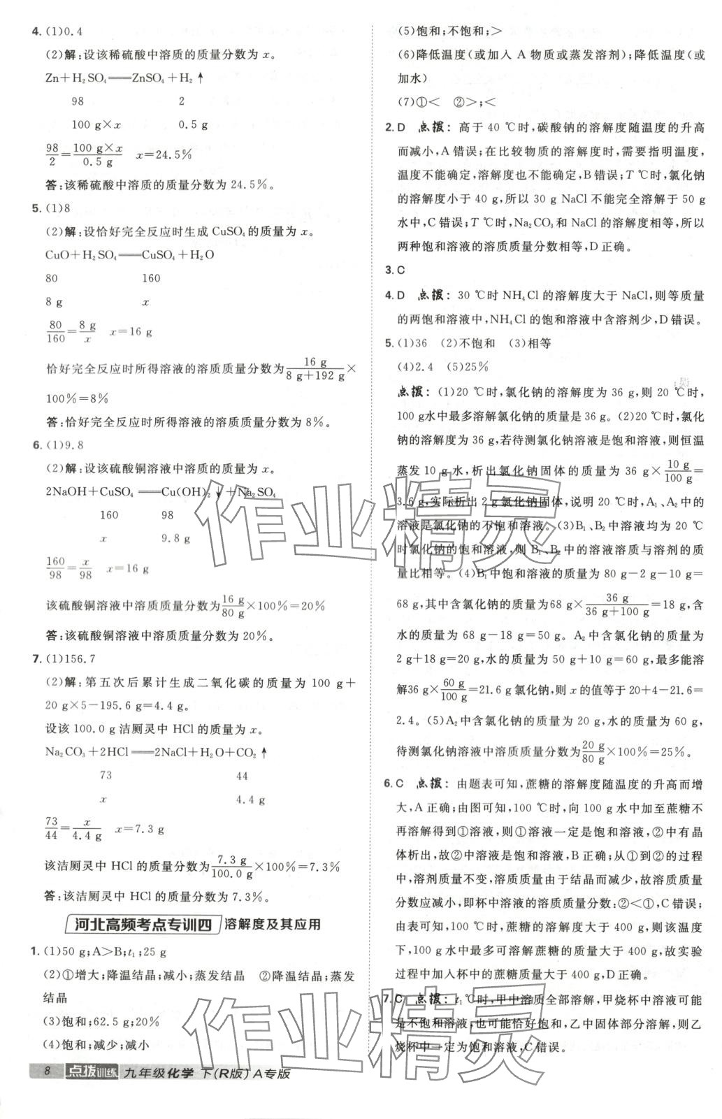 2025年點撥訓練九年級化學下冊人教版河北專版&nbsp;第8頁