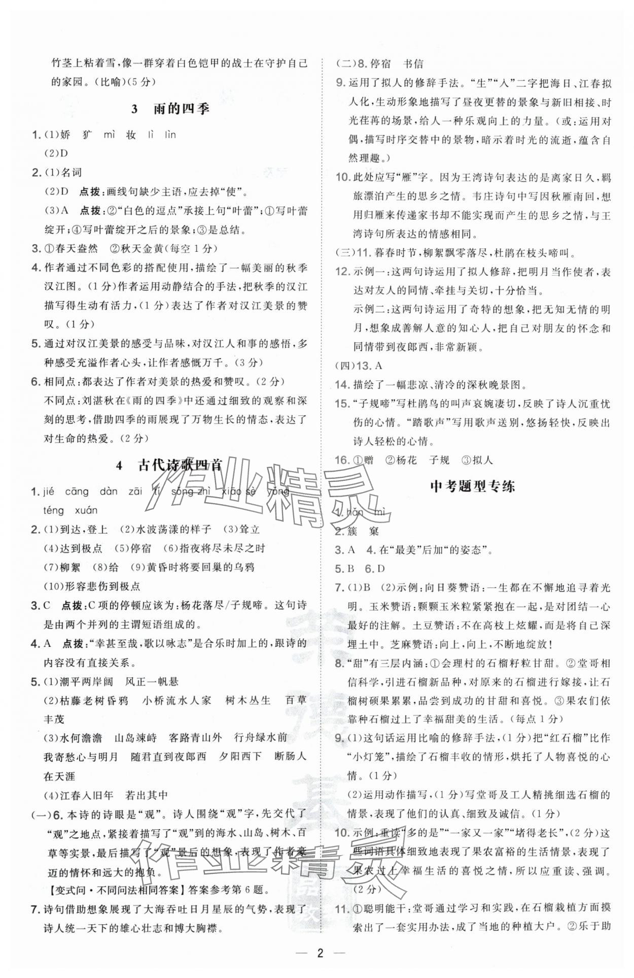 2024年点拨训练七年级语文上册人教版宁夏专版 第2页