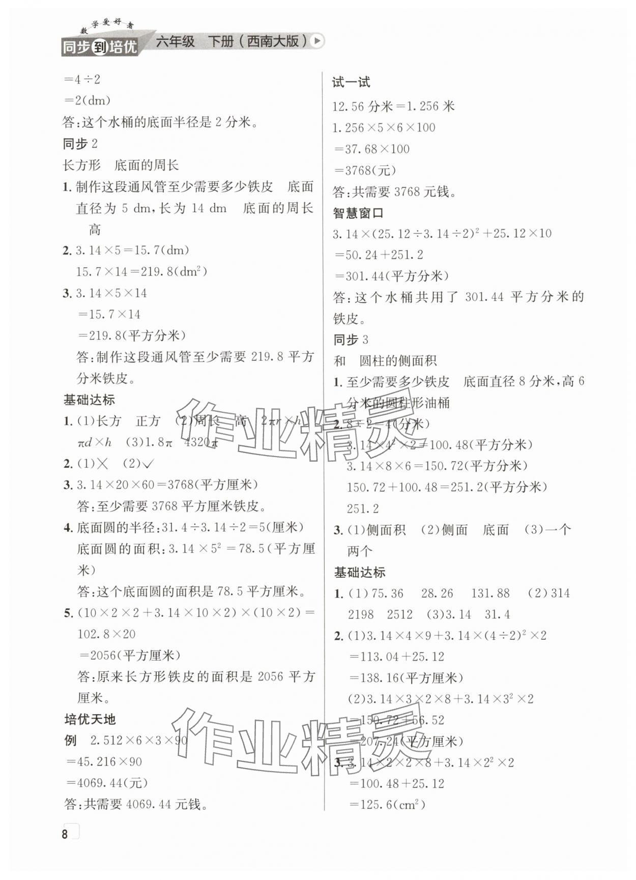 2025年數學愛好者同步到培優六年級下冊西師大版 第8頁