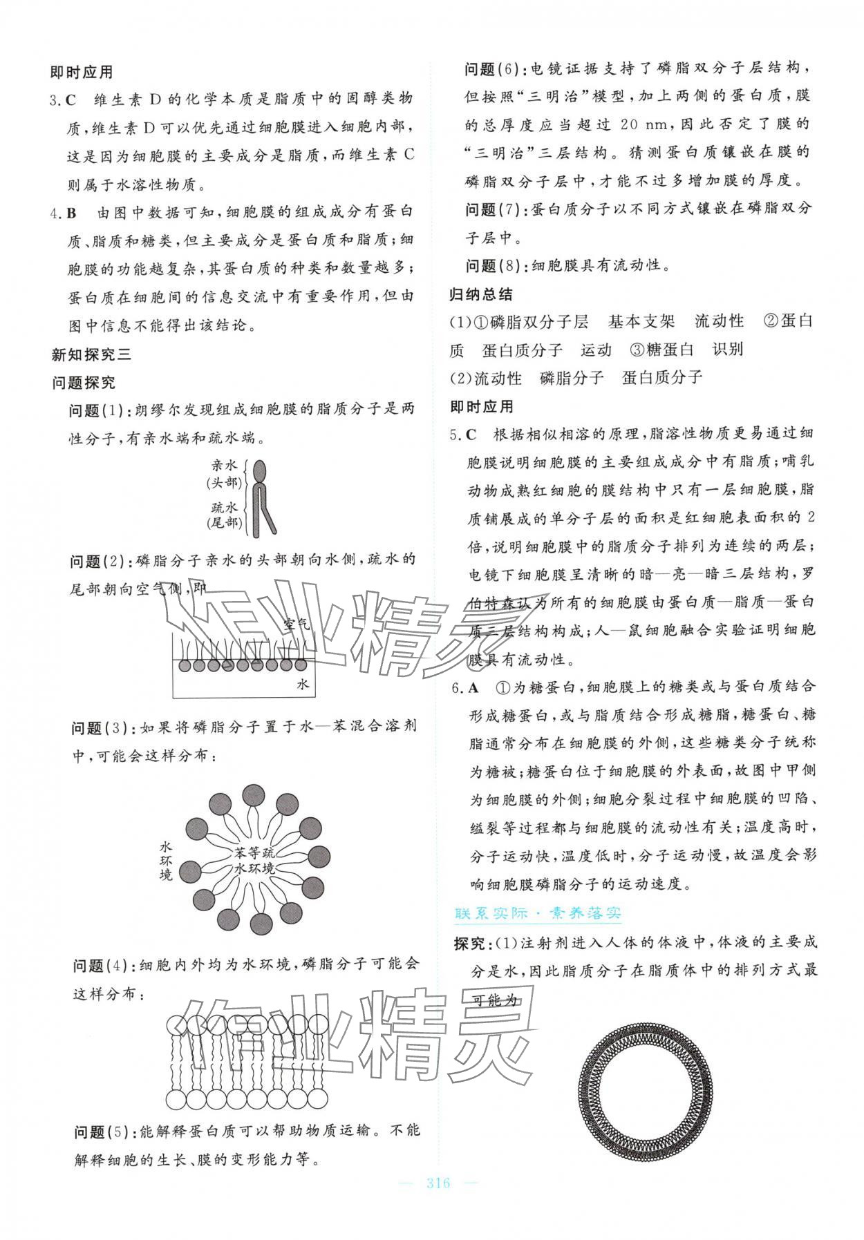 2025年高中同步测控全优设计优佳学案高中生物必修1人教版&nbsp;参考答案第14页