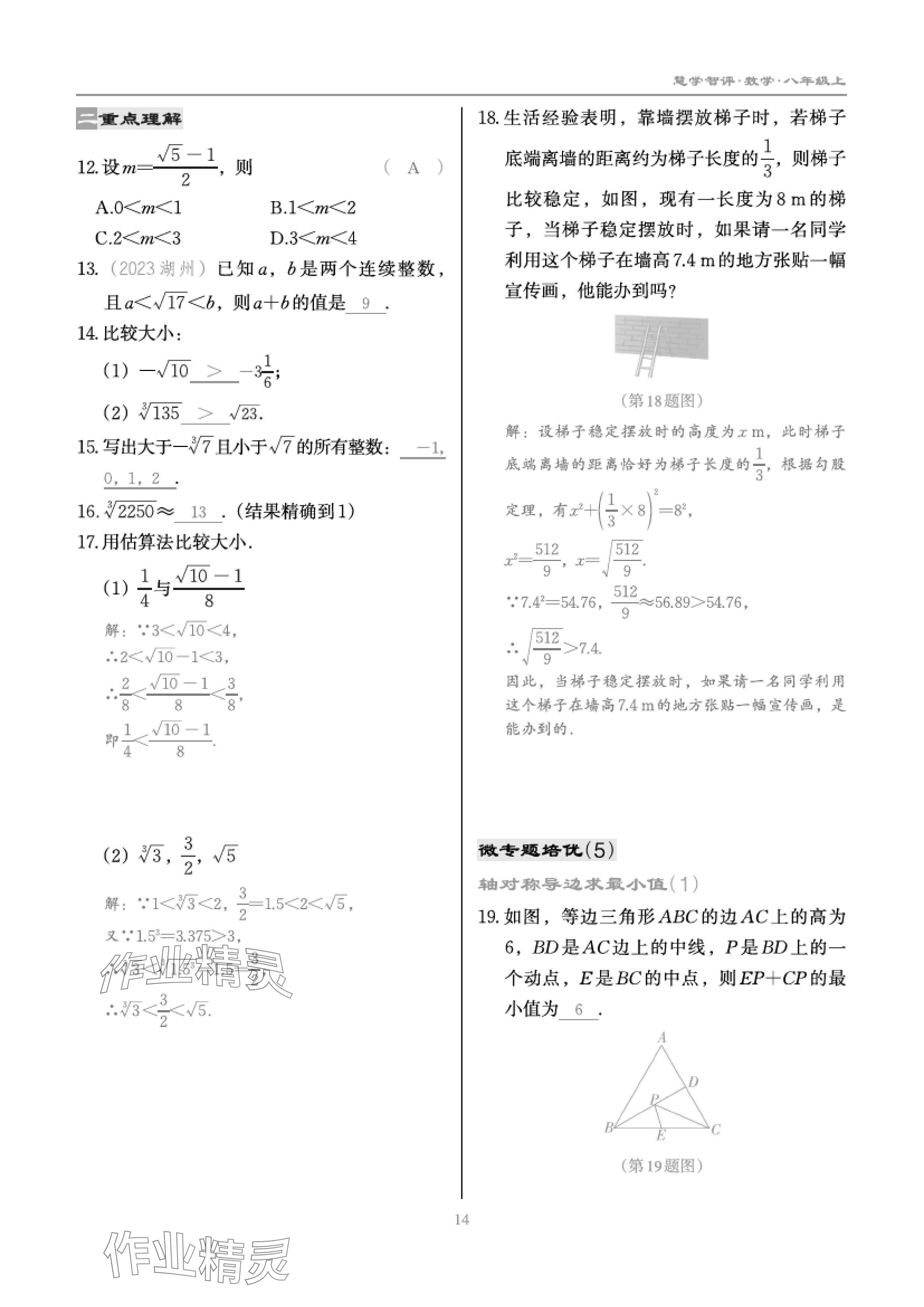 2024年慧學(xué)智評(píng)八年級(jí)數(shù)學(xué)上冊(cè)北師大版 參考答案第26頁