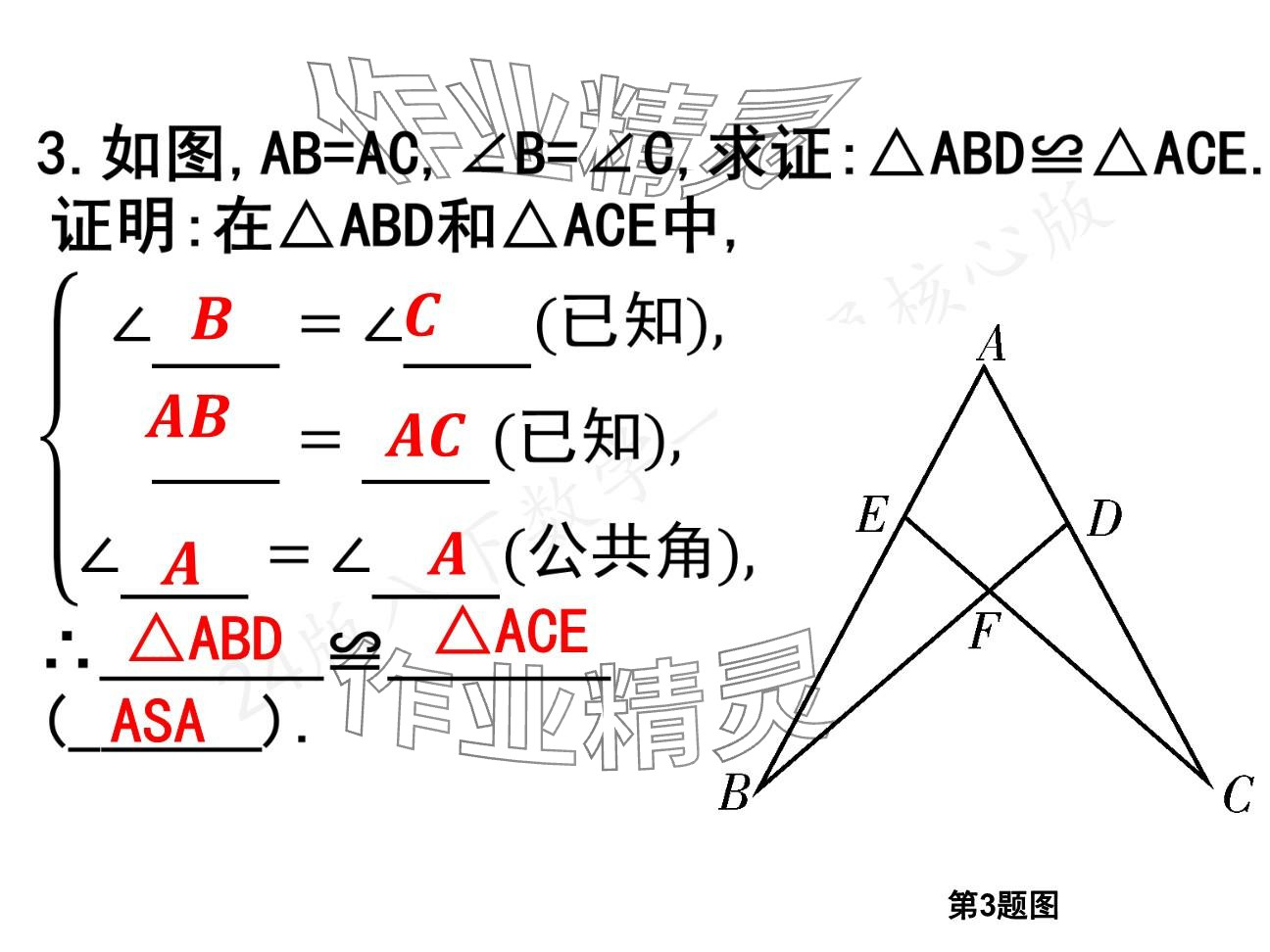 2025年一本通武漢出版社八年級數(shù)學(xué)下冊北師大版核心板 參考答案第5頁
