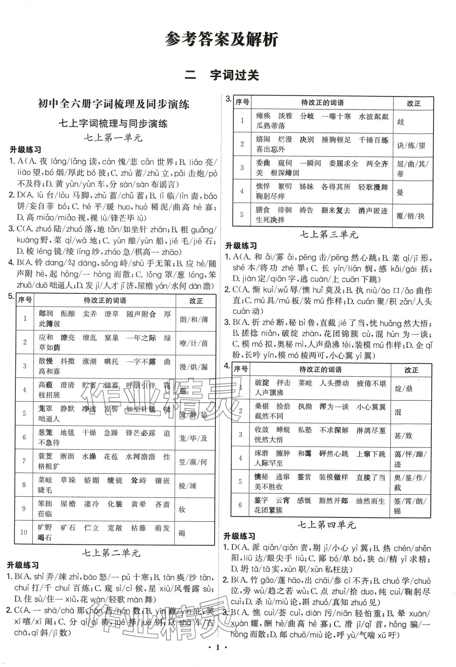 2024年精準初中語文一本通 第1頁