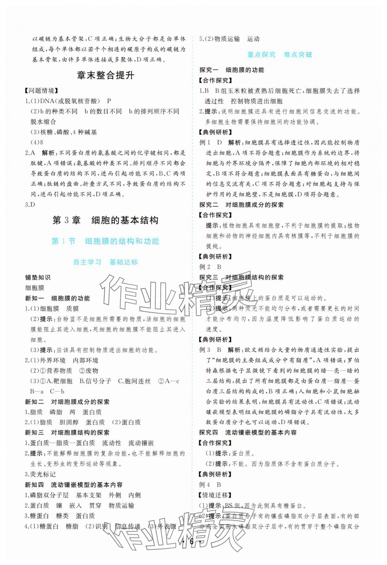 2025年金版學案高中同步輔導與檢測高中生物必修1人教版 第6頁