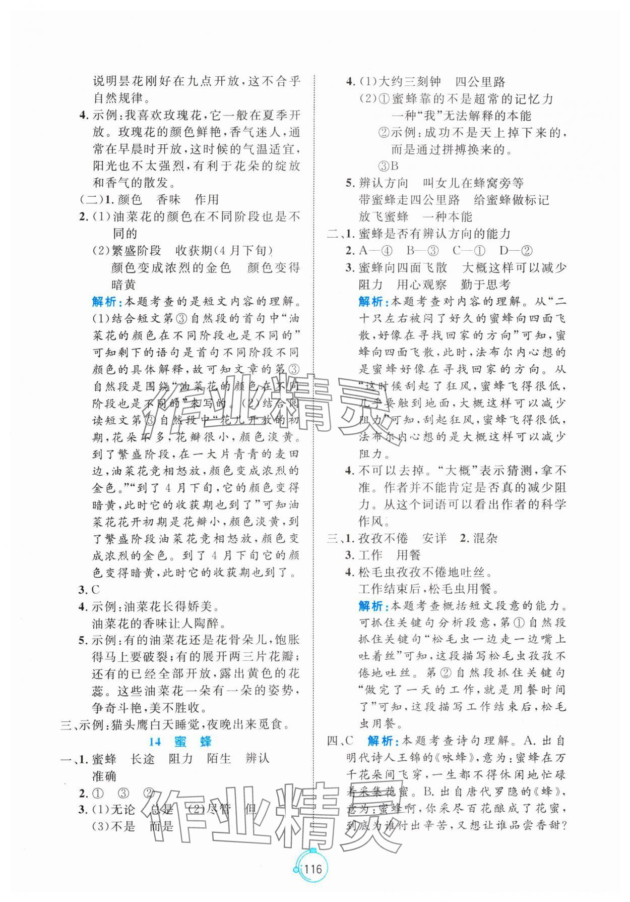 2025年黃岡名師天天練三年級語文下冊人教版 第8頁