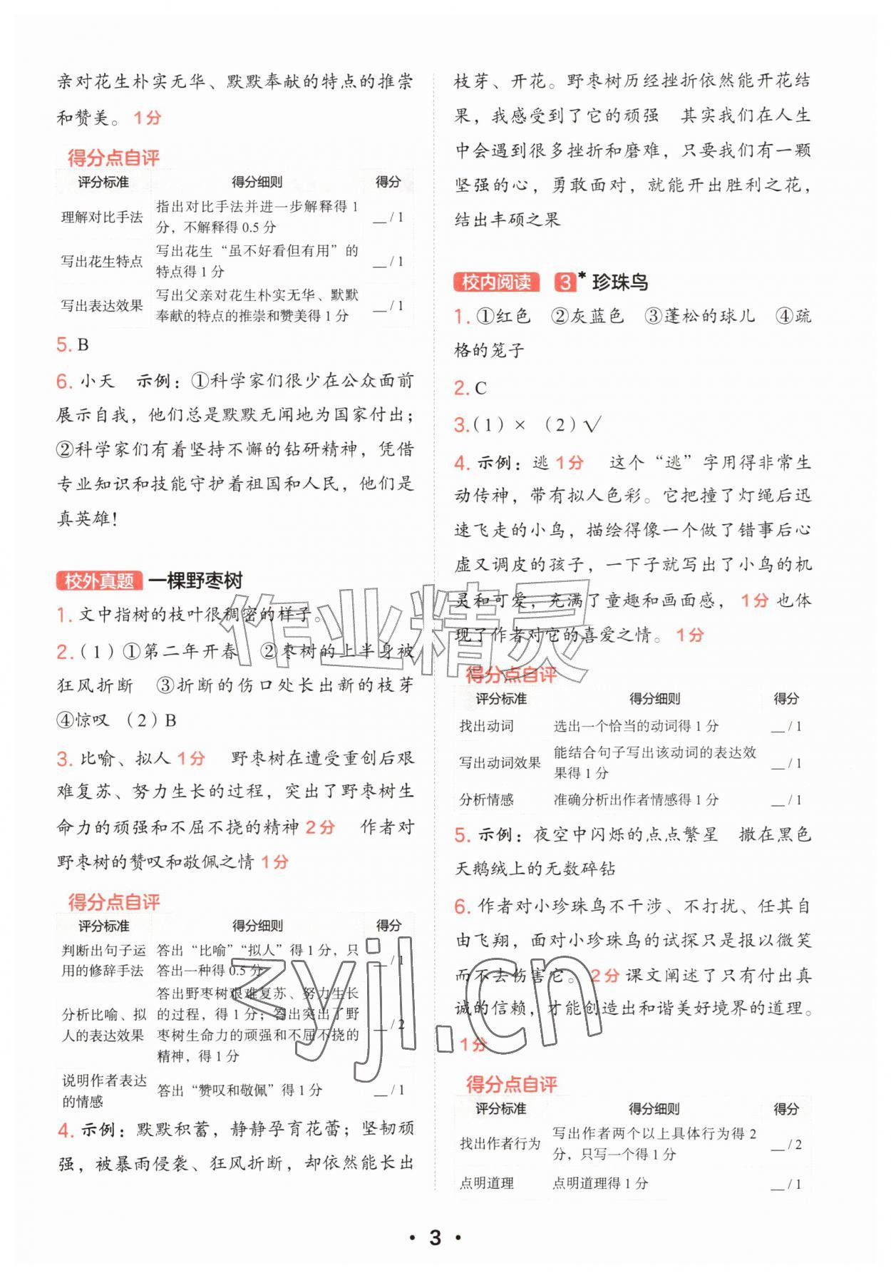 2026年阅读理解有模版五年级语文上册人教版&nbsp;参考答案第2页