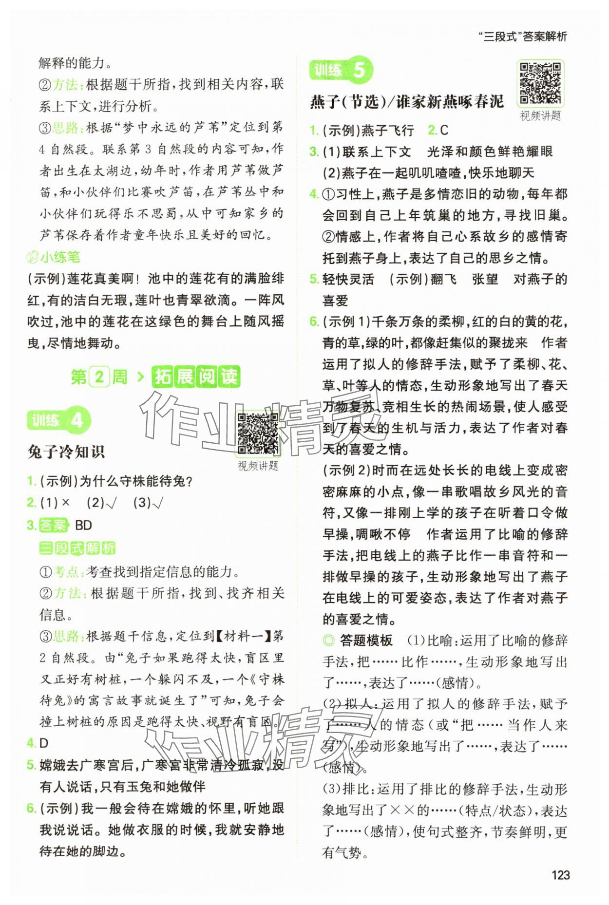 2025年一本閱讀能力訓(xùn)練100分三年級(jí)語(yǔ)文人教版浙江專(zhuān)版 參考答案第3頁(yè)