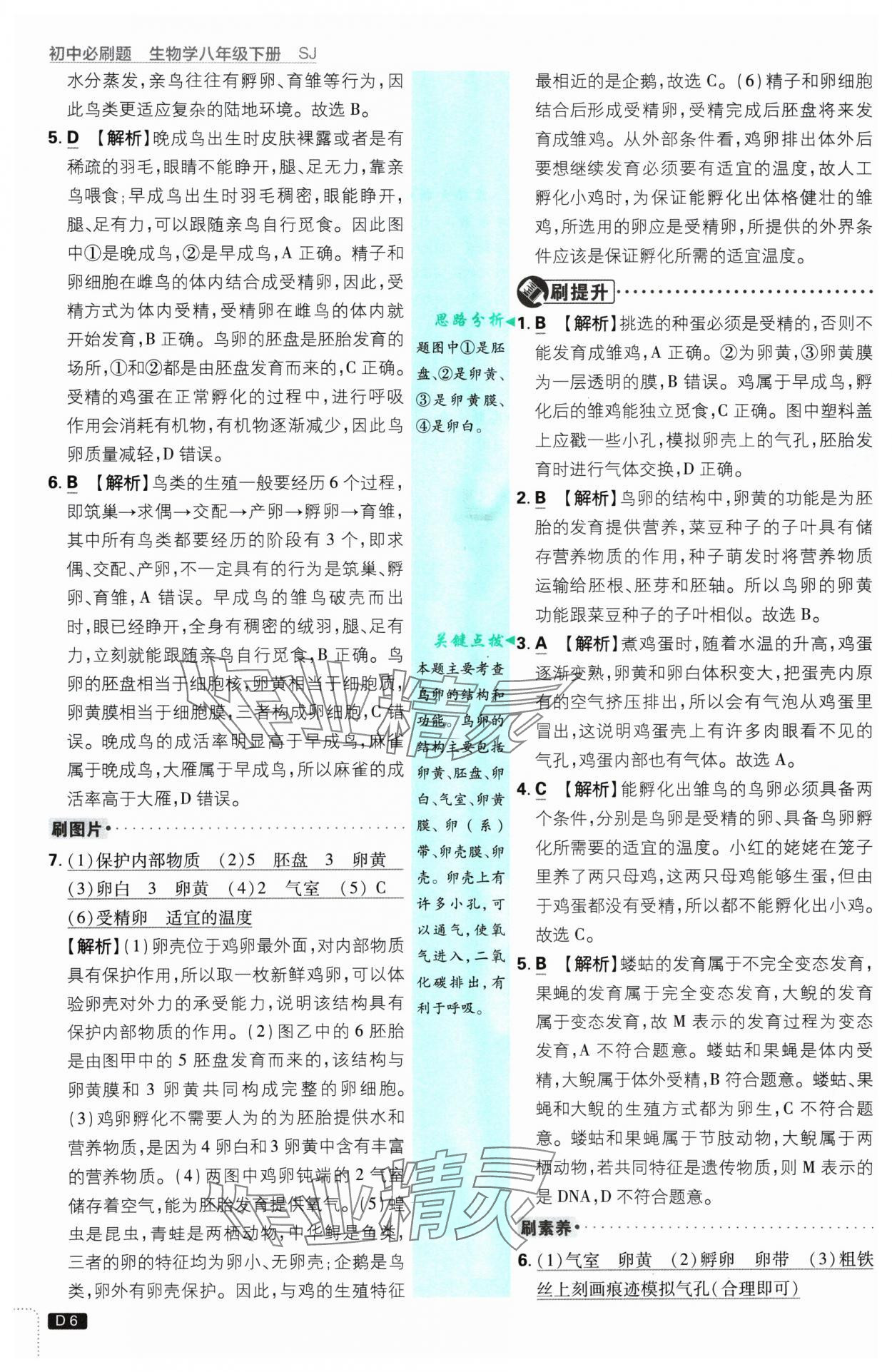 2025年初中必刷題八年級(jí)生物下冊(cè)蘇教版 參考答案第6頁(yè)