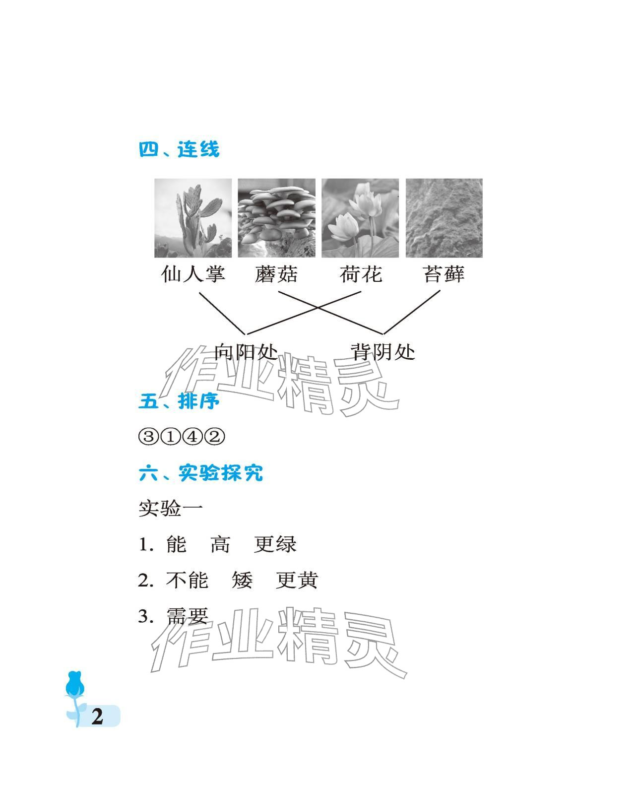 2025年行知天下二年级科学上册青岛版 参考答案第2页