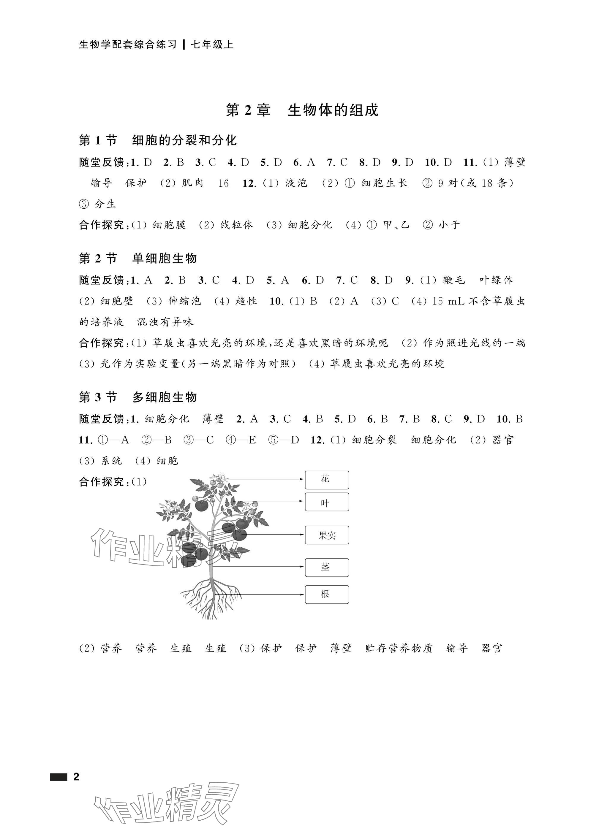 2025年配套综合练习甘肃七年级生物上册苏教版 参考答案第2页