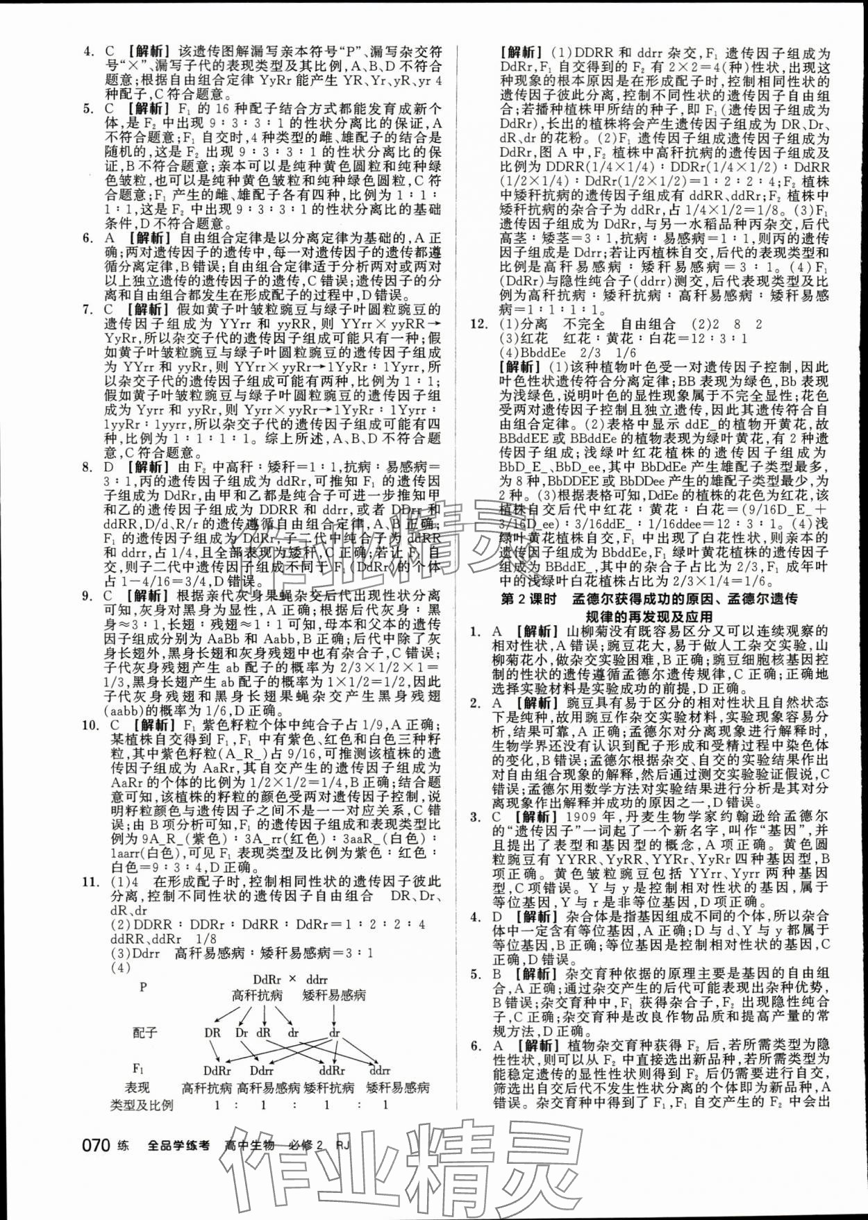 2024年全品學(xué)練考高中生物必修2人教版 第4頁(yè)