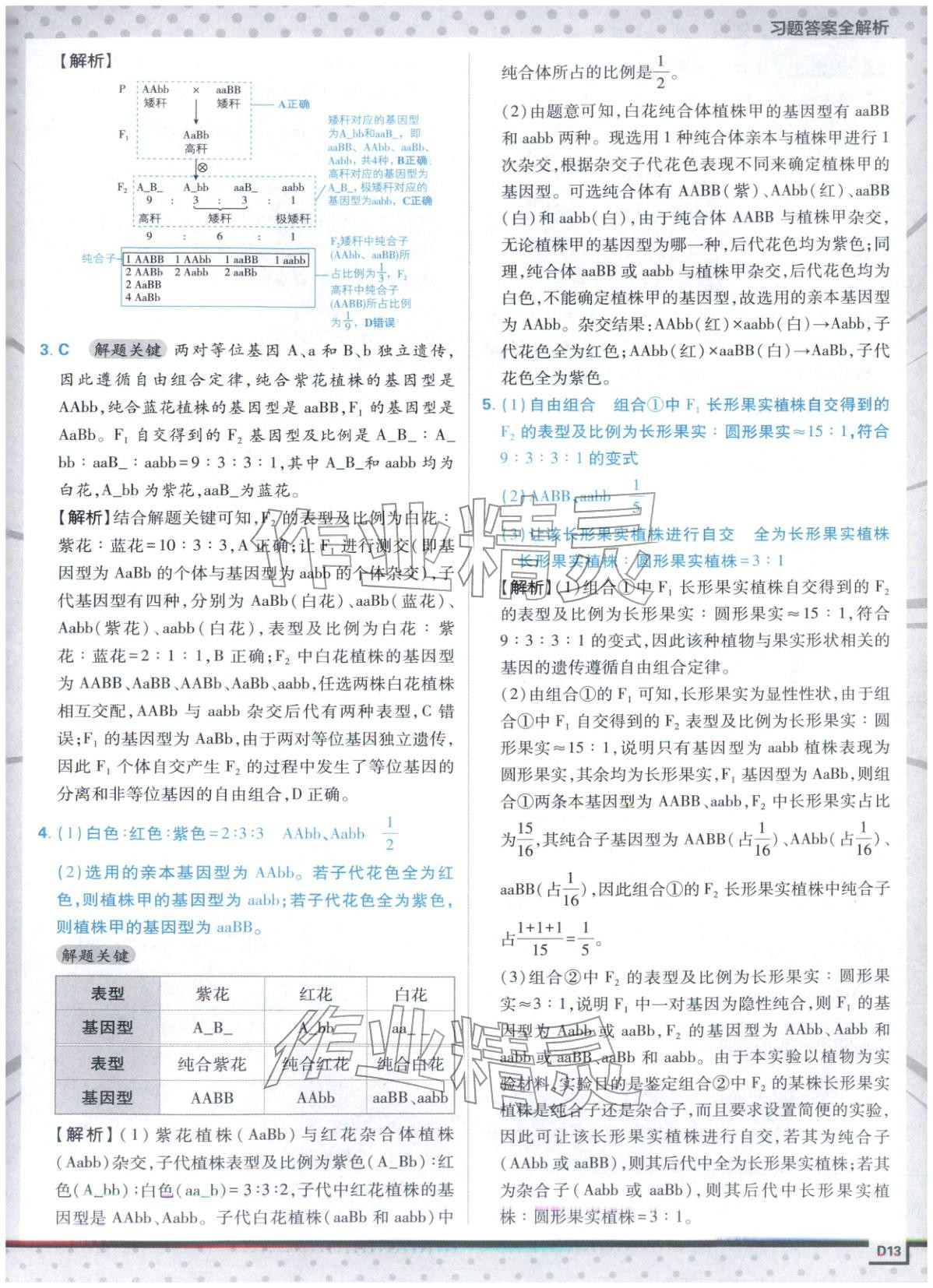 2025年上分攻略高中生物必修第二册人教版&nbsp;第13页
